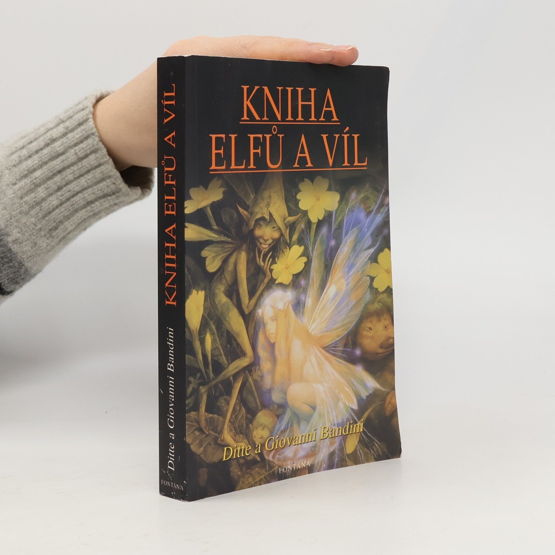 Kniha elfů a víl