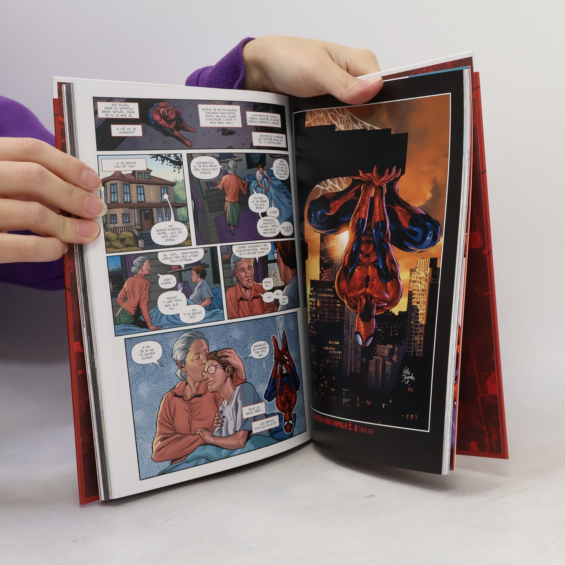 Autorenkollektiv Komiksový výběr 44. Spider-man. Smrt a vztahy