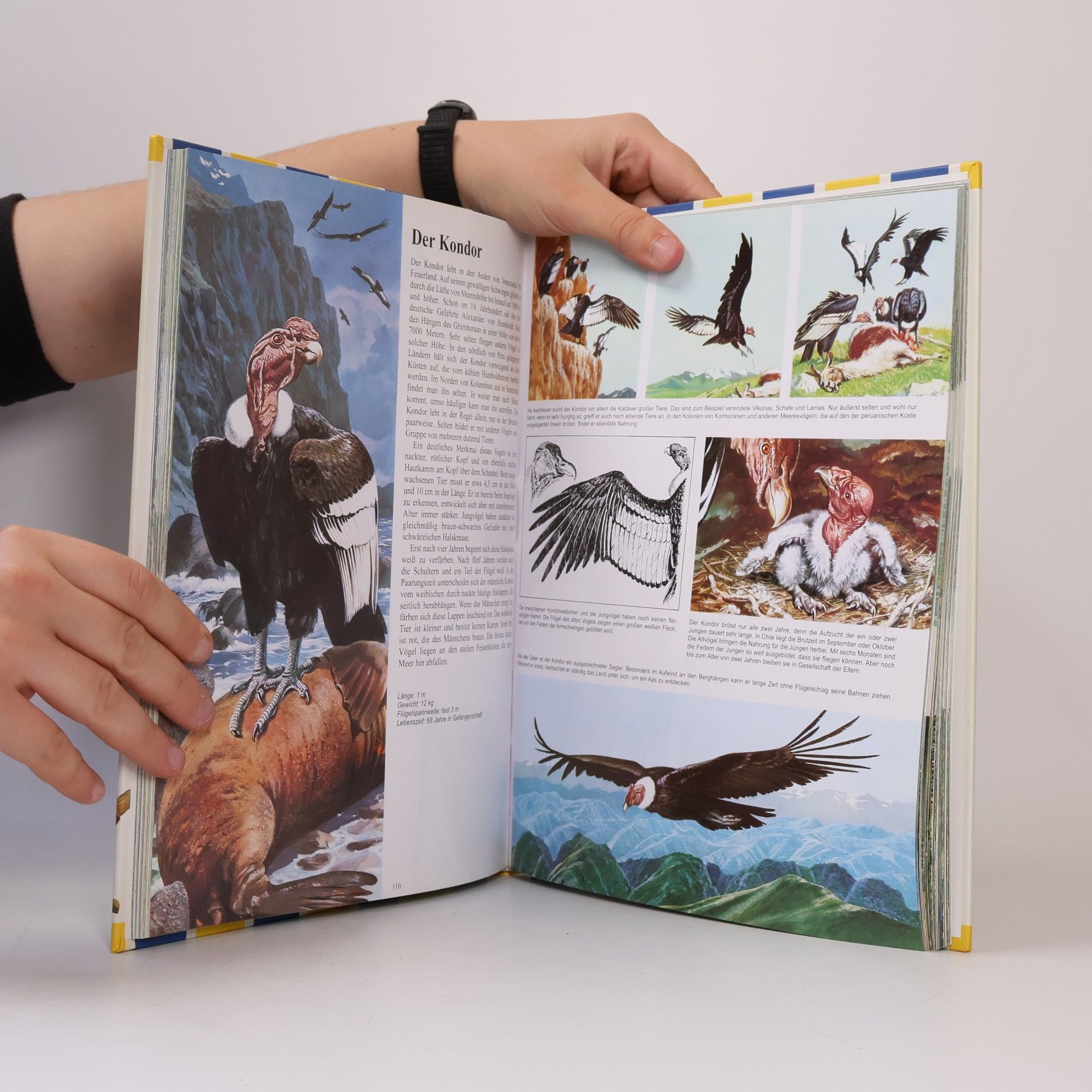 Michel Cuisin Mein großer Tieratlas von A - Z