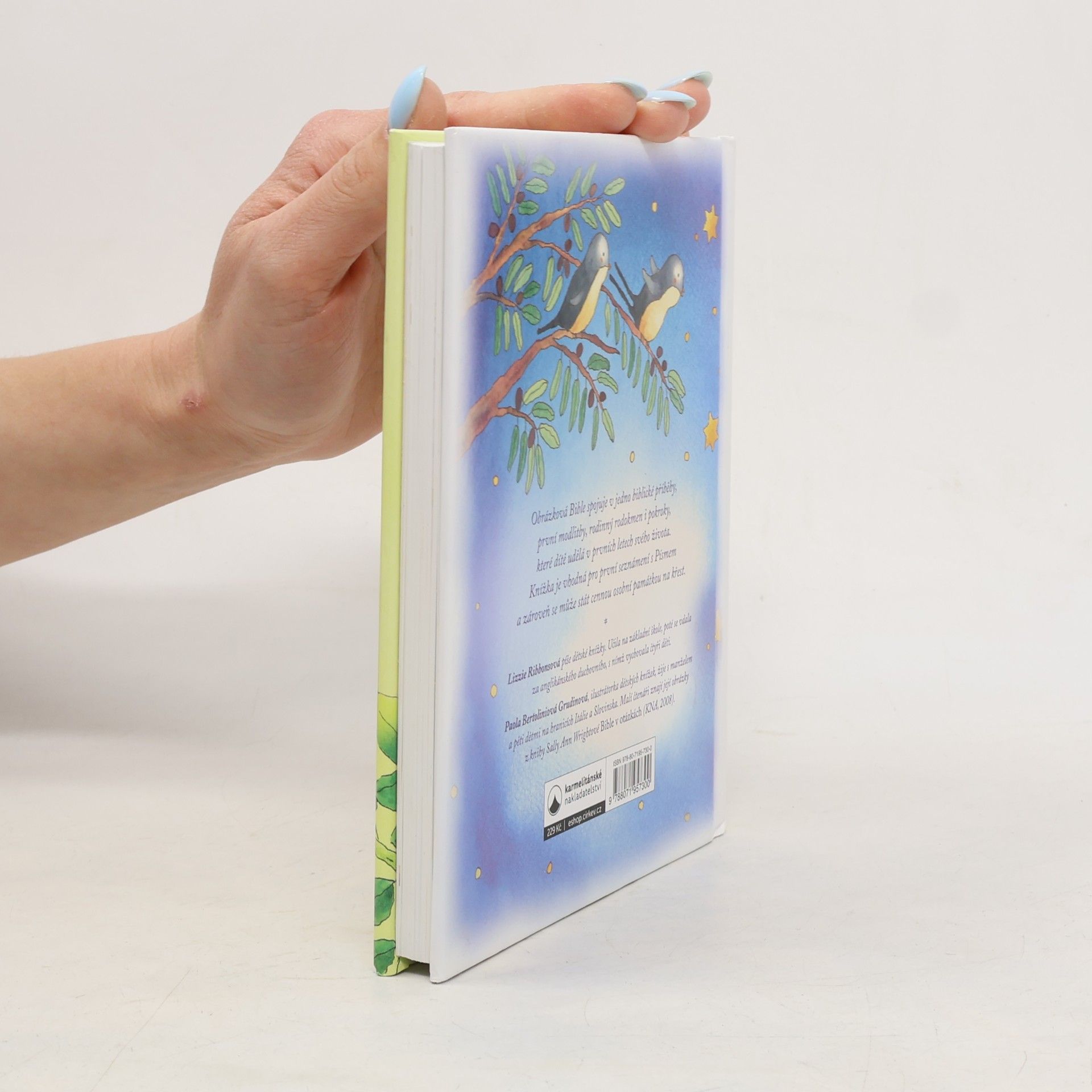 Lizzie Ribbonsová Bible ke křtu