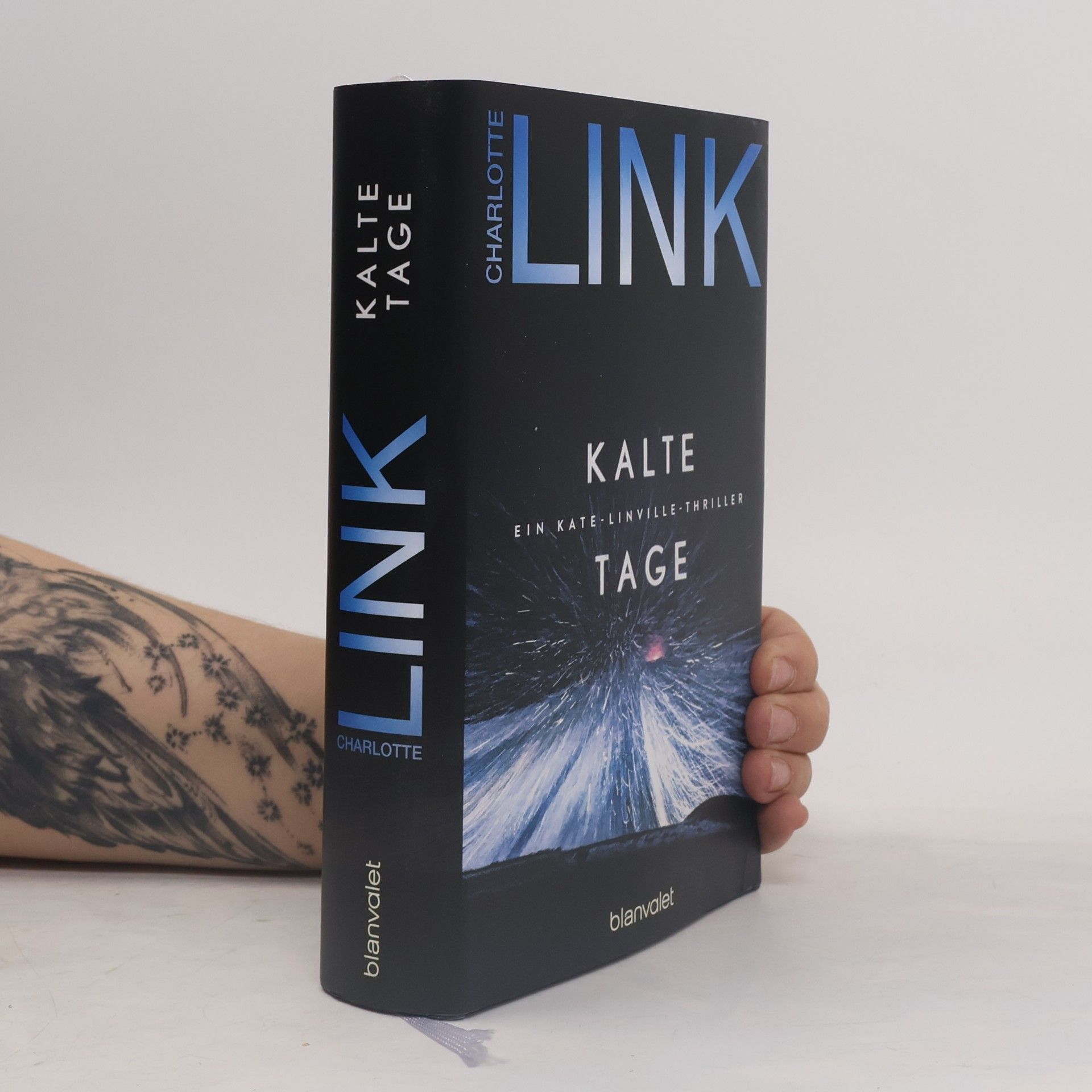 Charlotte Link Kalte Tage