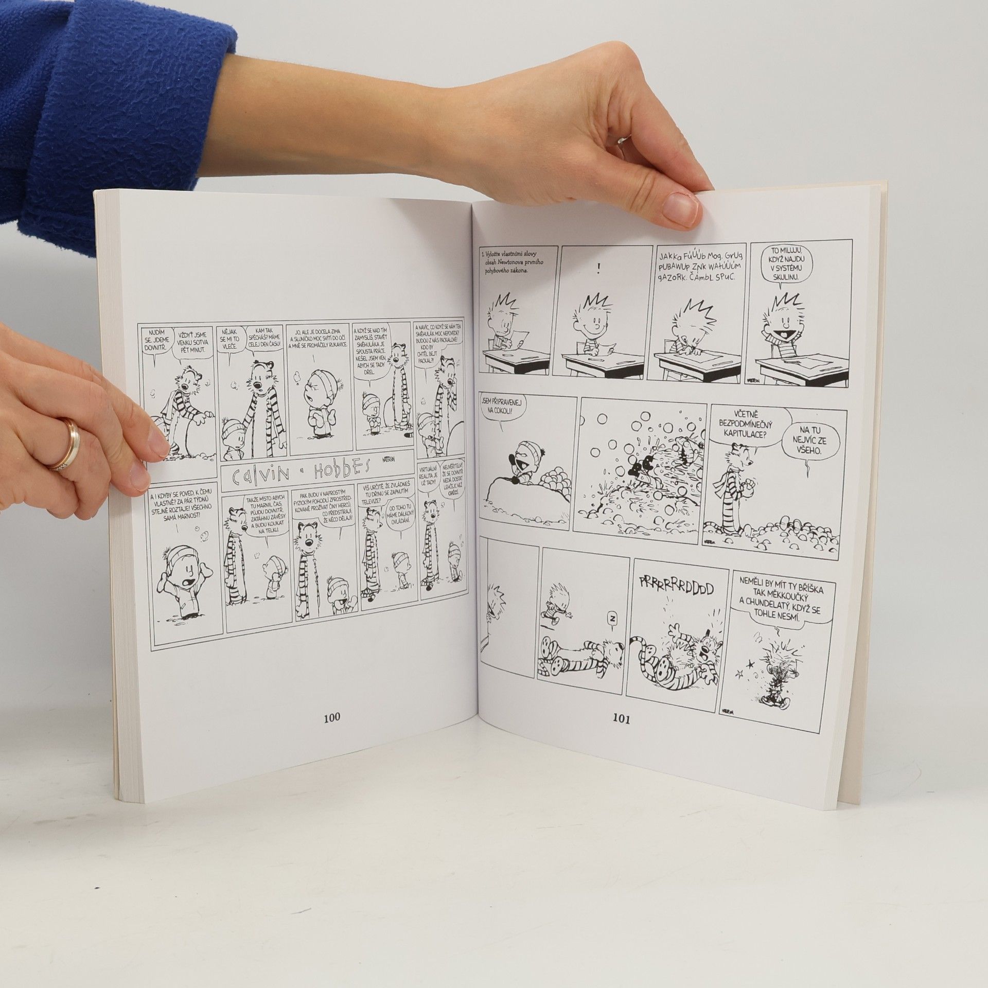 Bill Watterson II Všude je spousta pokladů