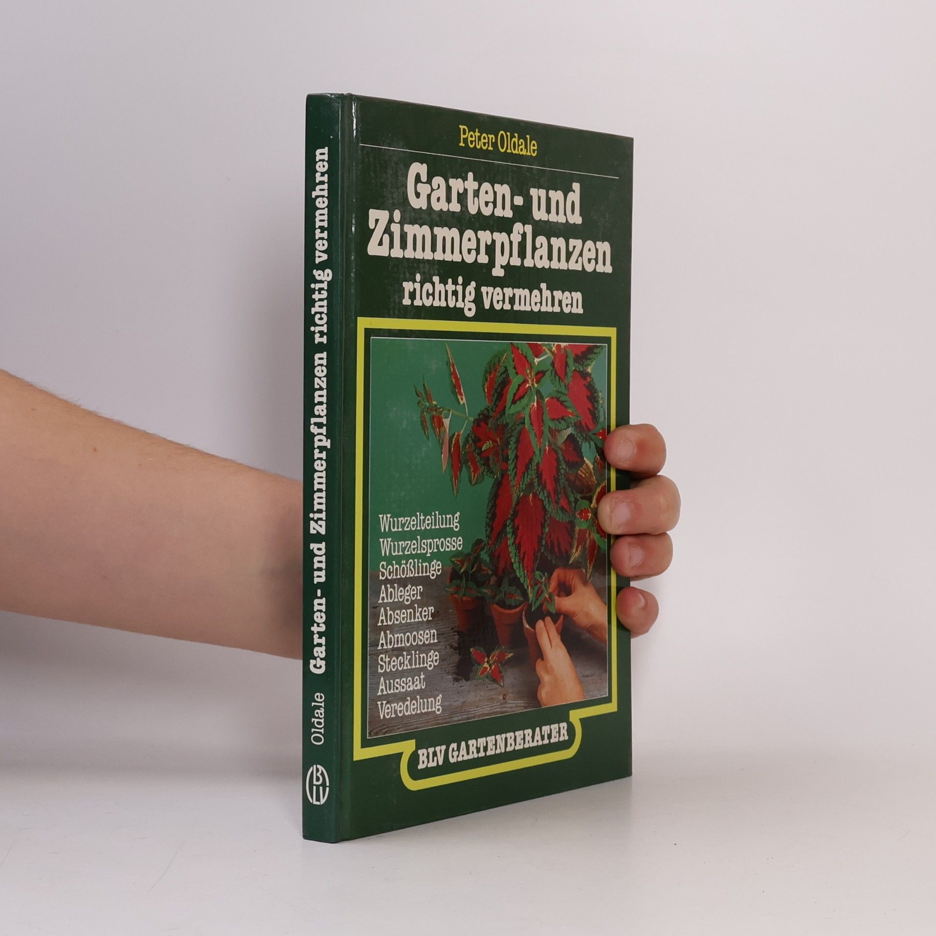 Garten- und Zimmerpflanzen richtig vermehren