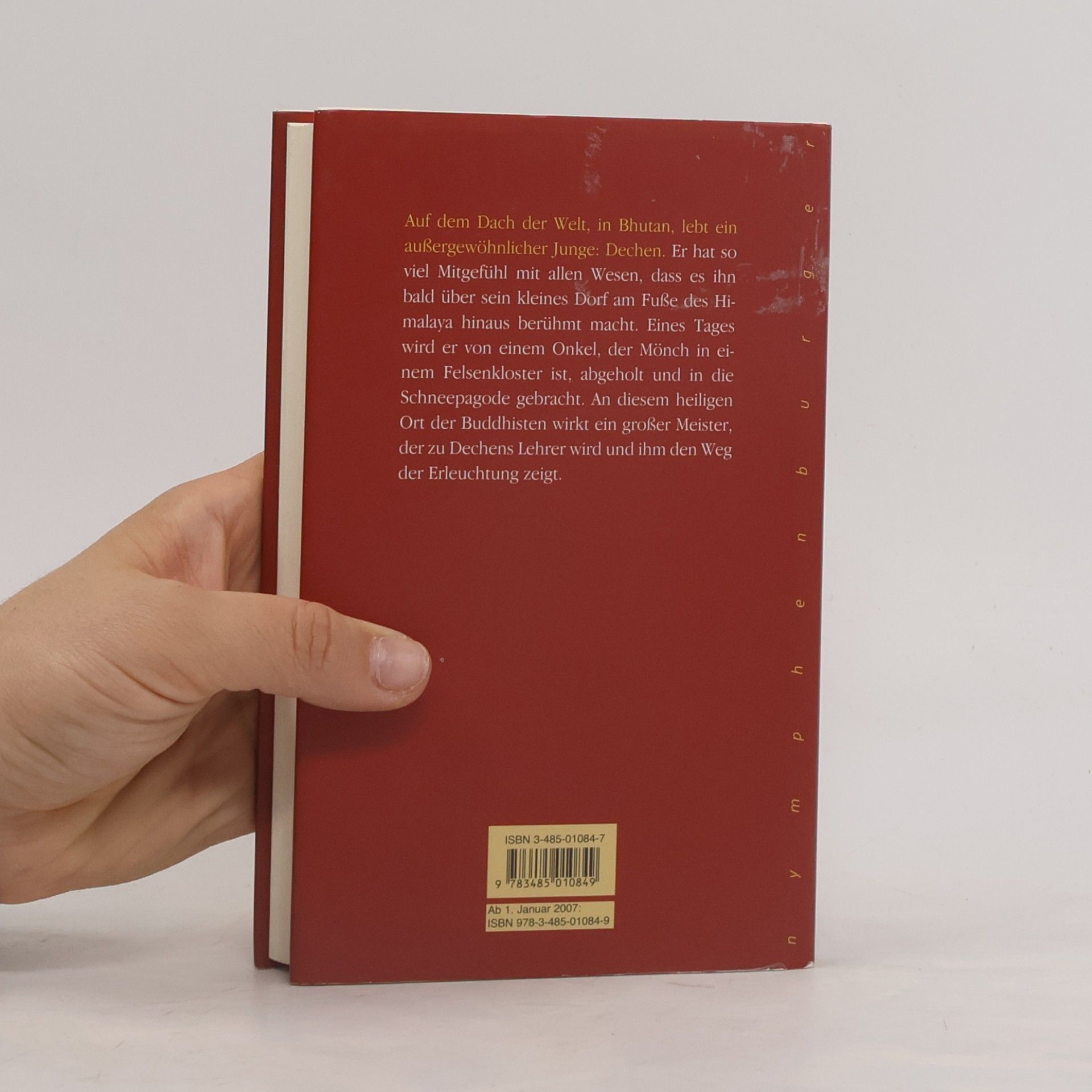 Matthieu Ricard Die Schneepagode