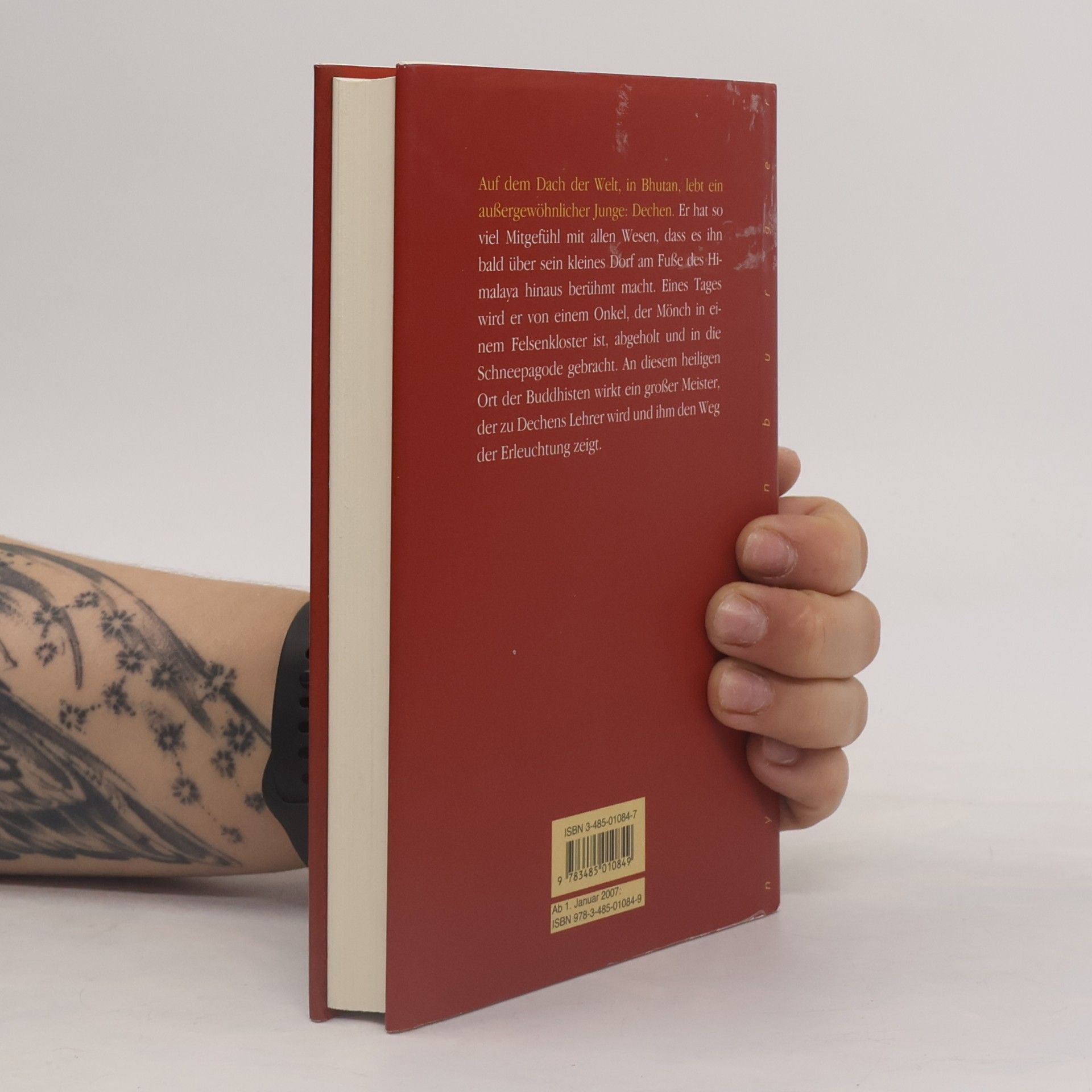 Matthieu Ricard Die Schneepagode