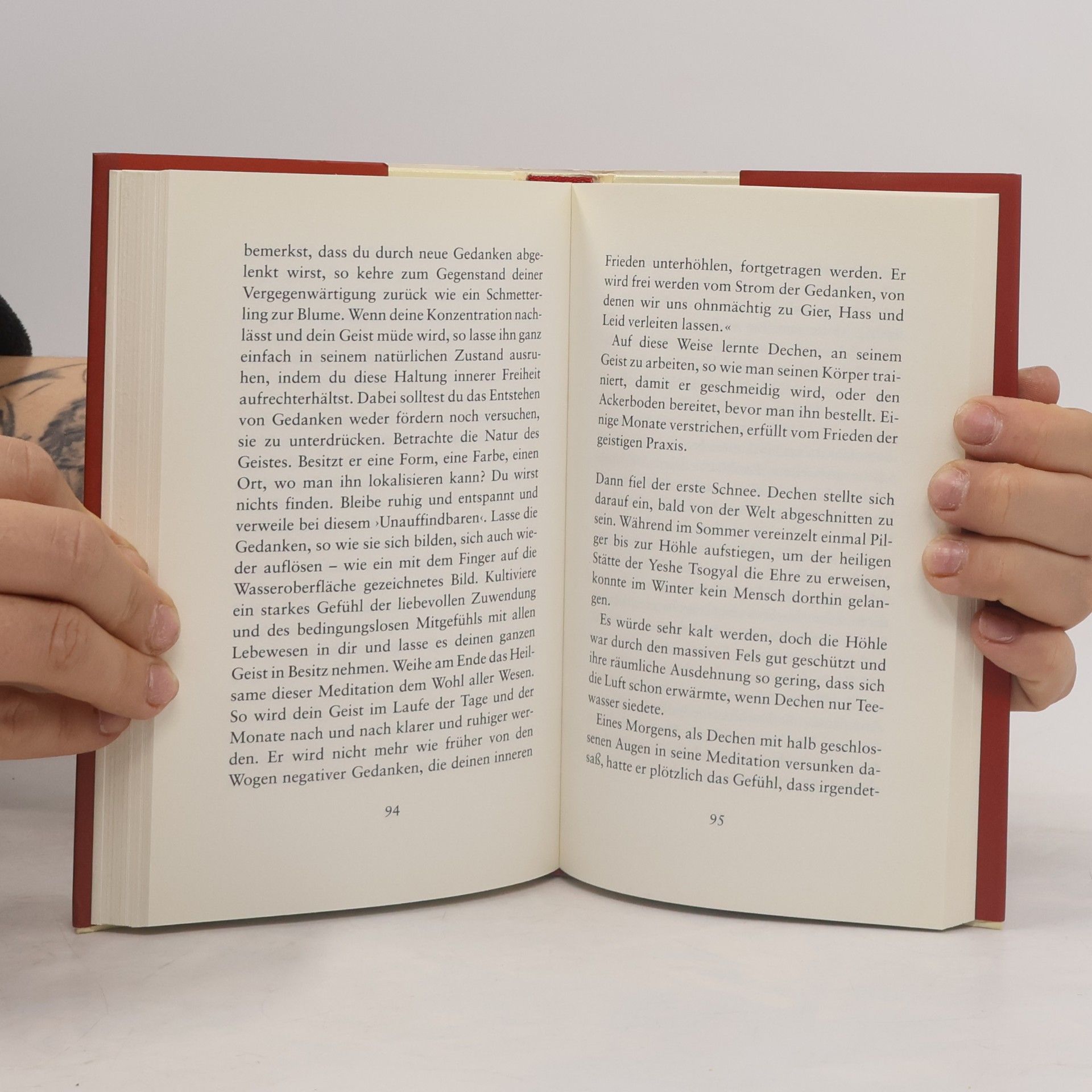 Matthieu Ricard Die Schneepagode