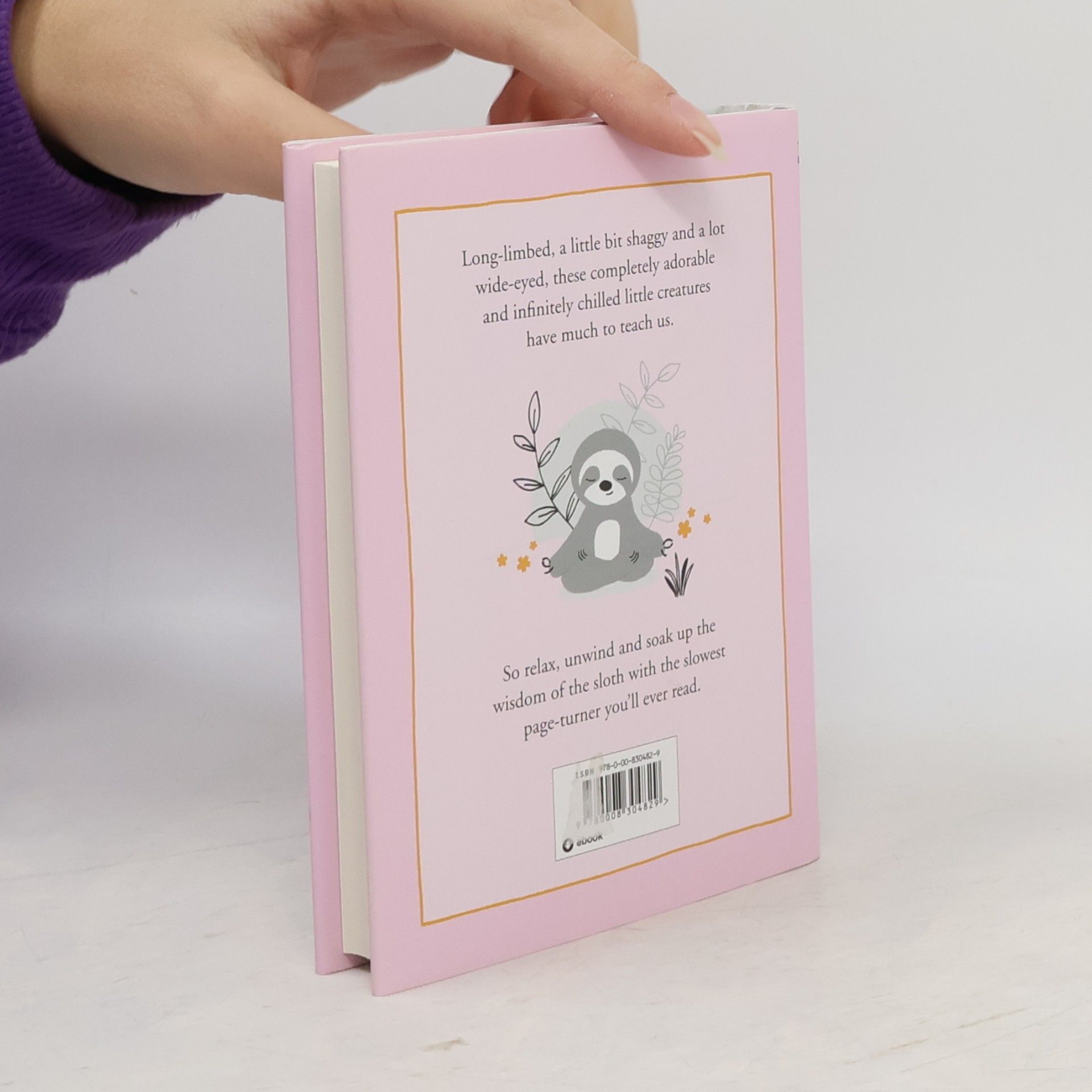 Jennifer McCartney The Little Book of Sloth Philosophy