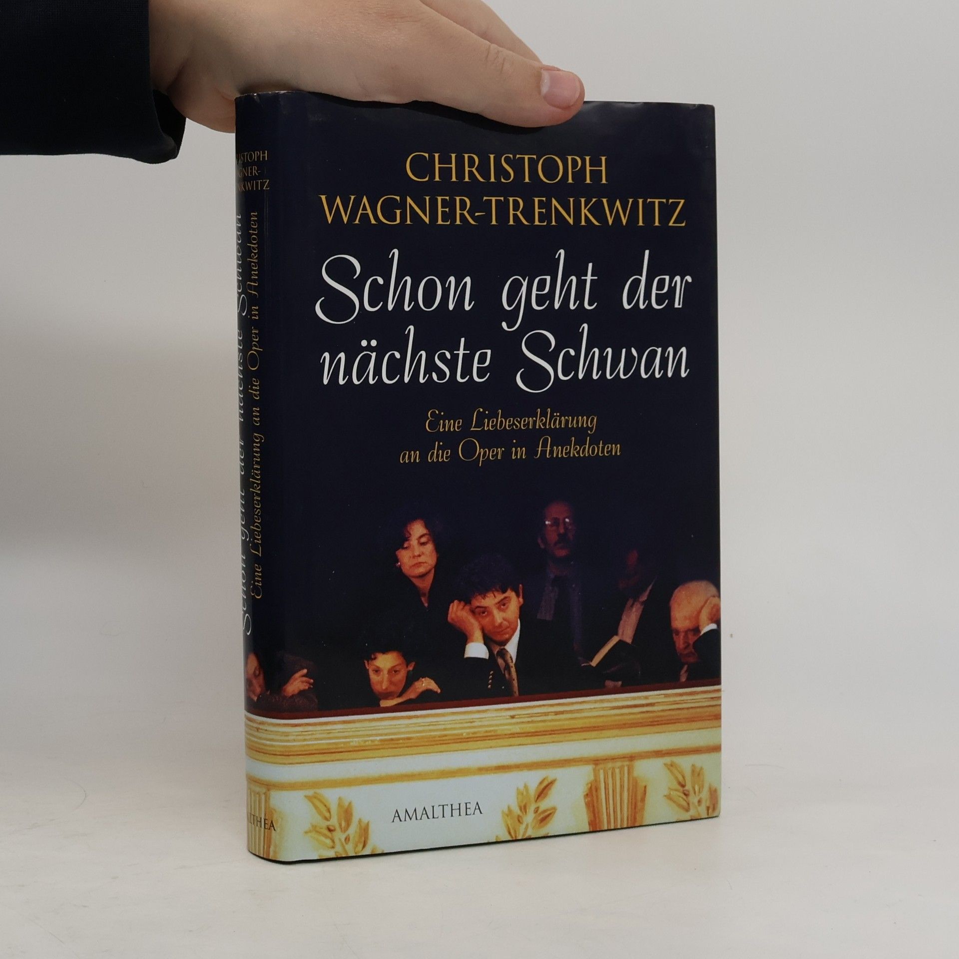 Schon geht der nächste Schwan