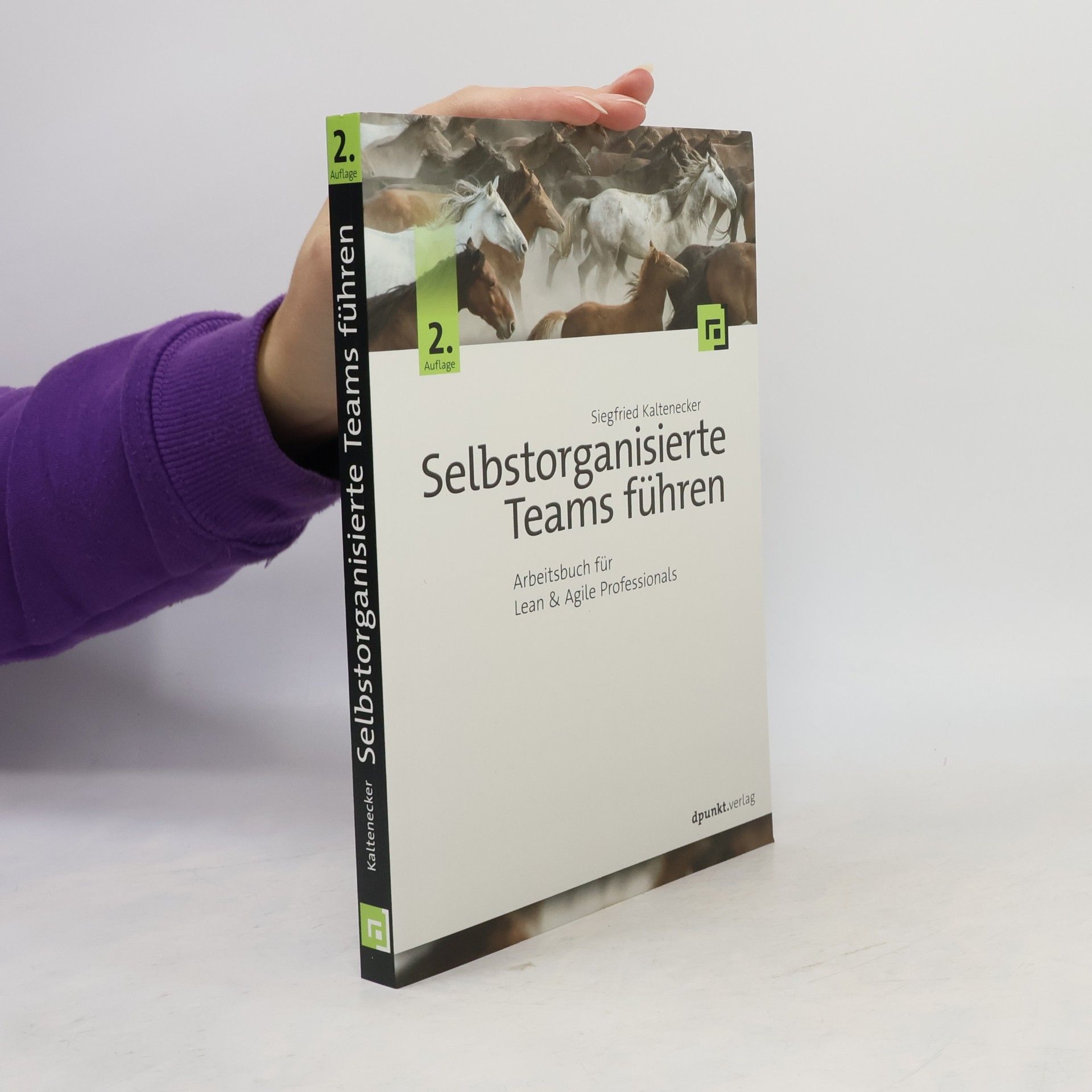 Selbstorganisierte Teams führen