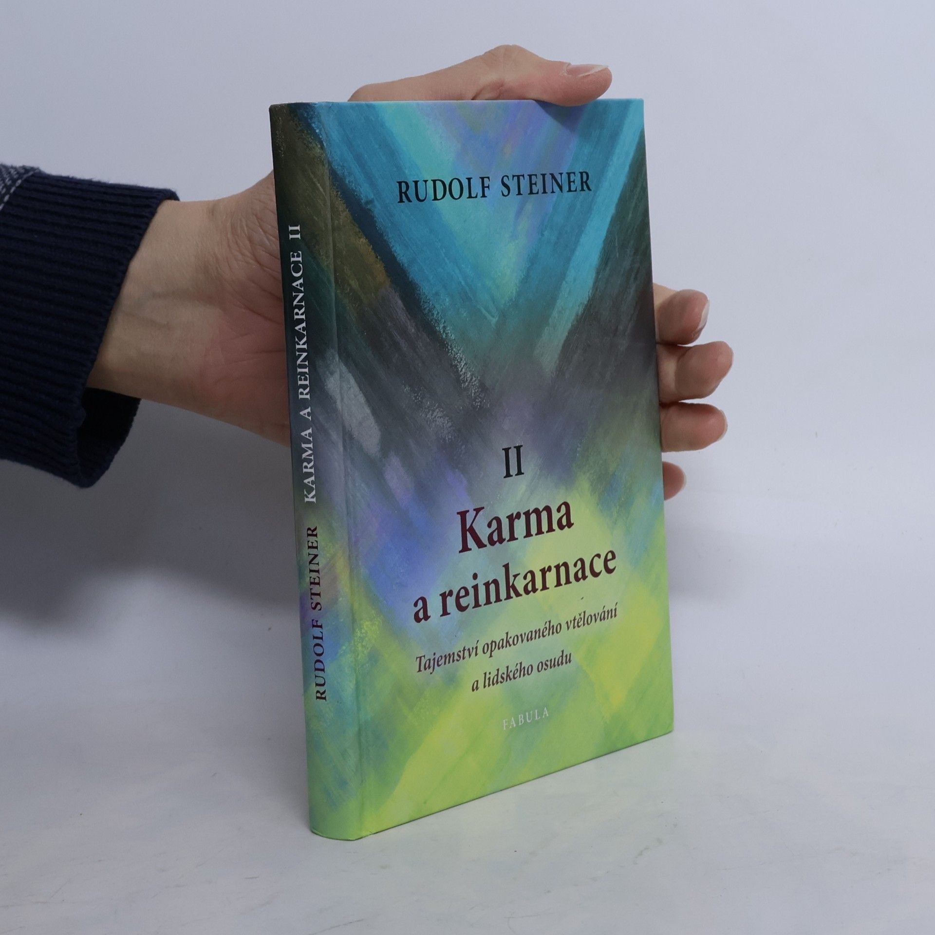 Karma a reinkarnace II. Tajemství opakovaného vtělování a lidského osudu