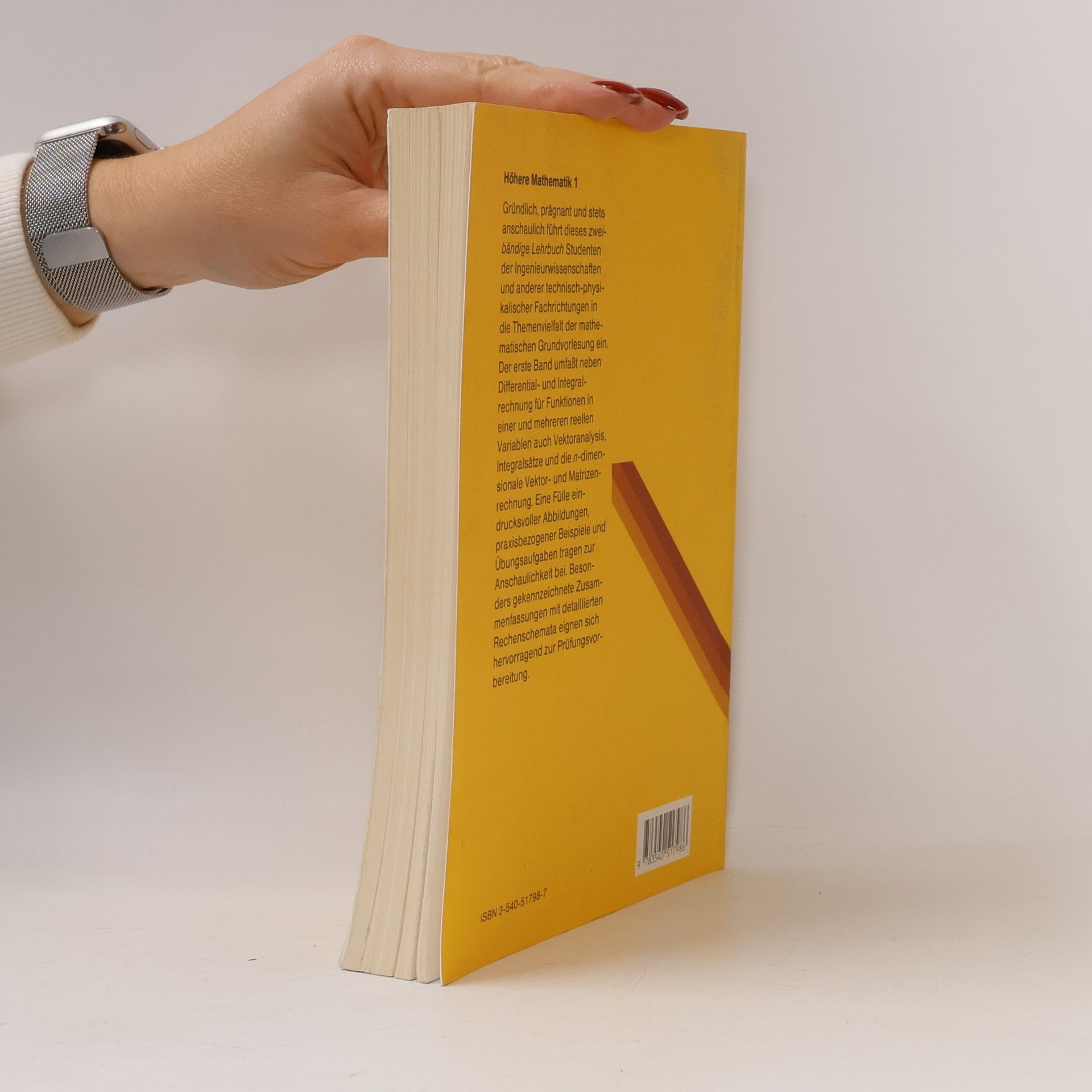 Kurt Meyberg Höhere Mathematik 1