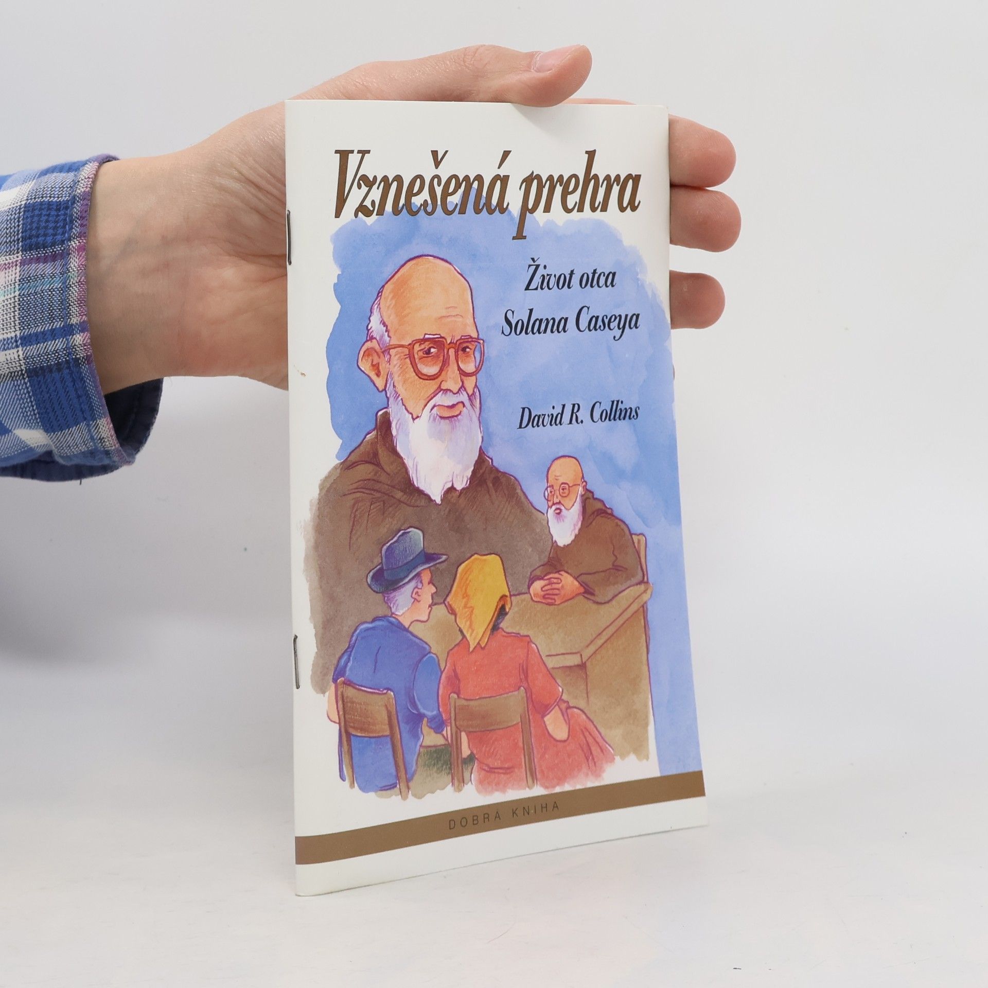 Vznešená prehra