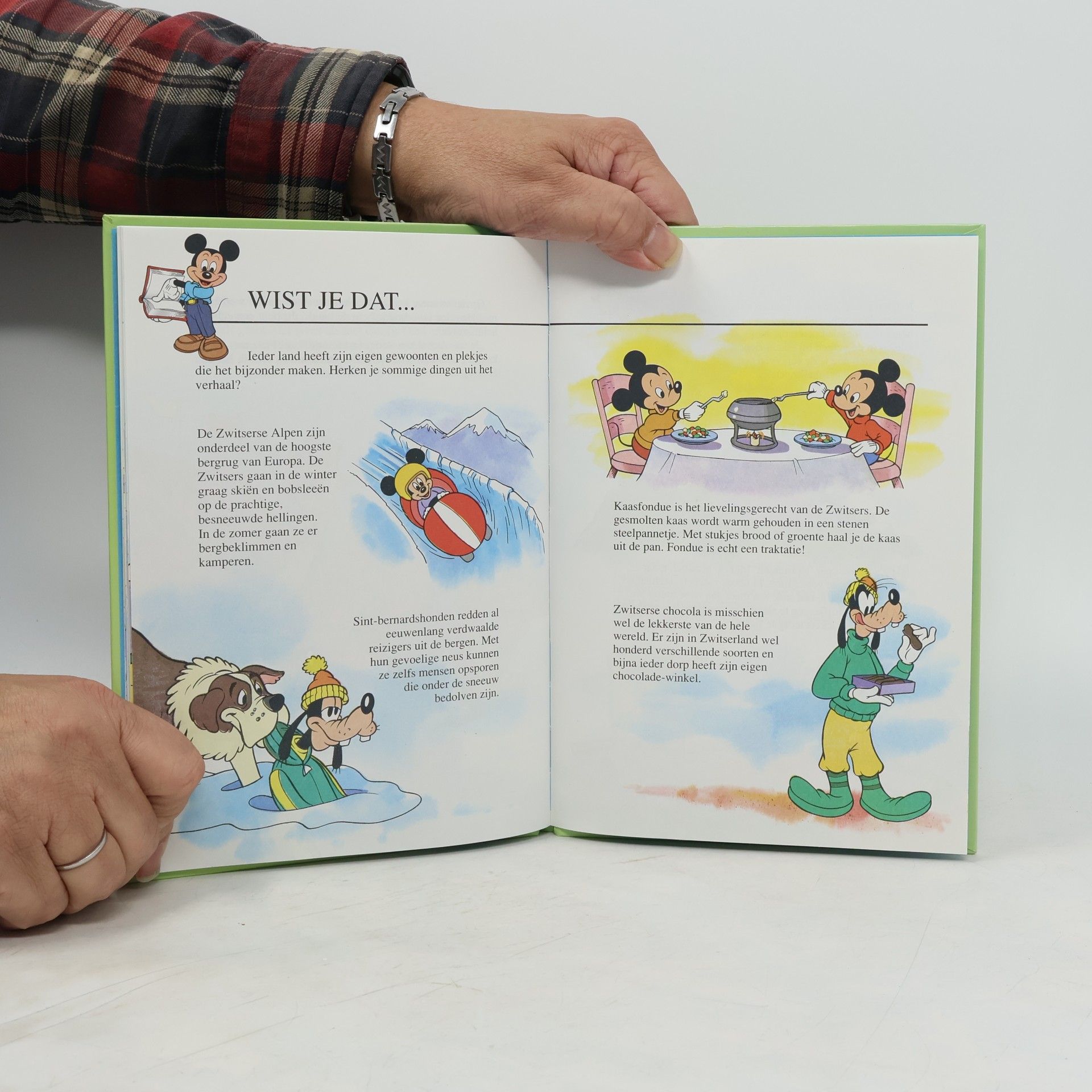 Bies van Ede Goofy op de lange latten
