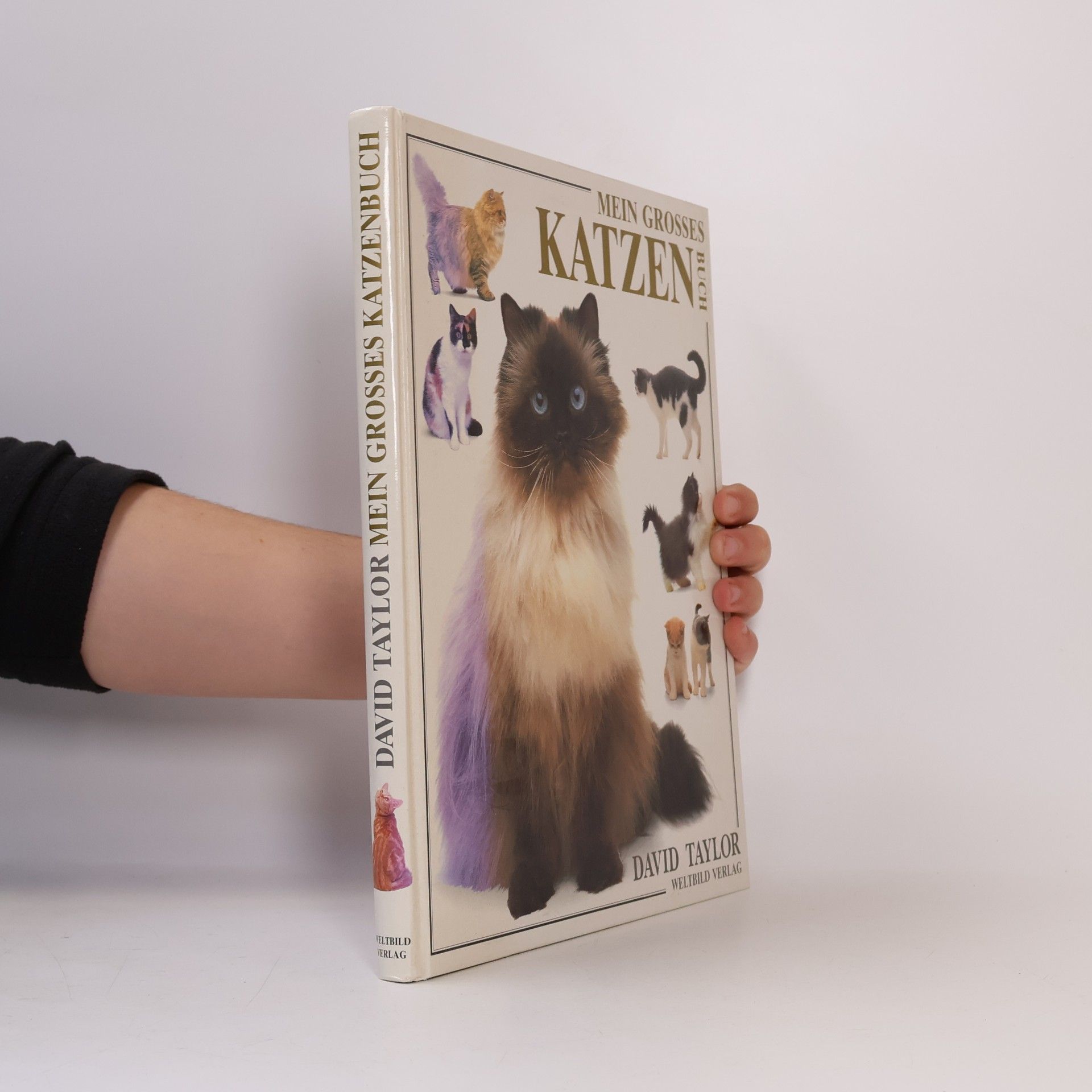 Mein grosses Katzen Buch
