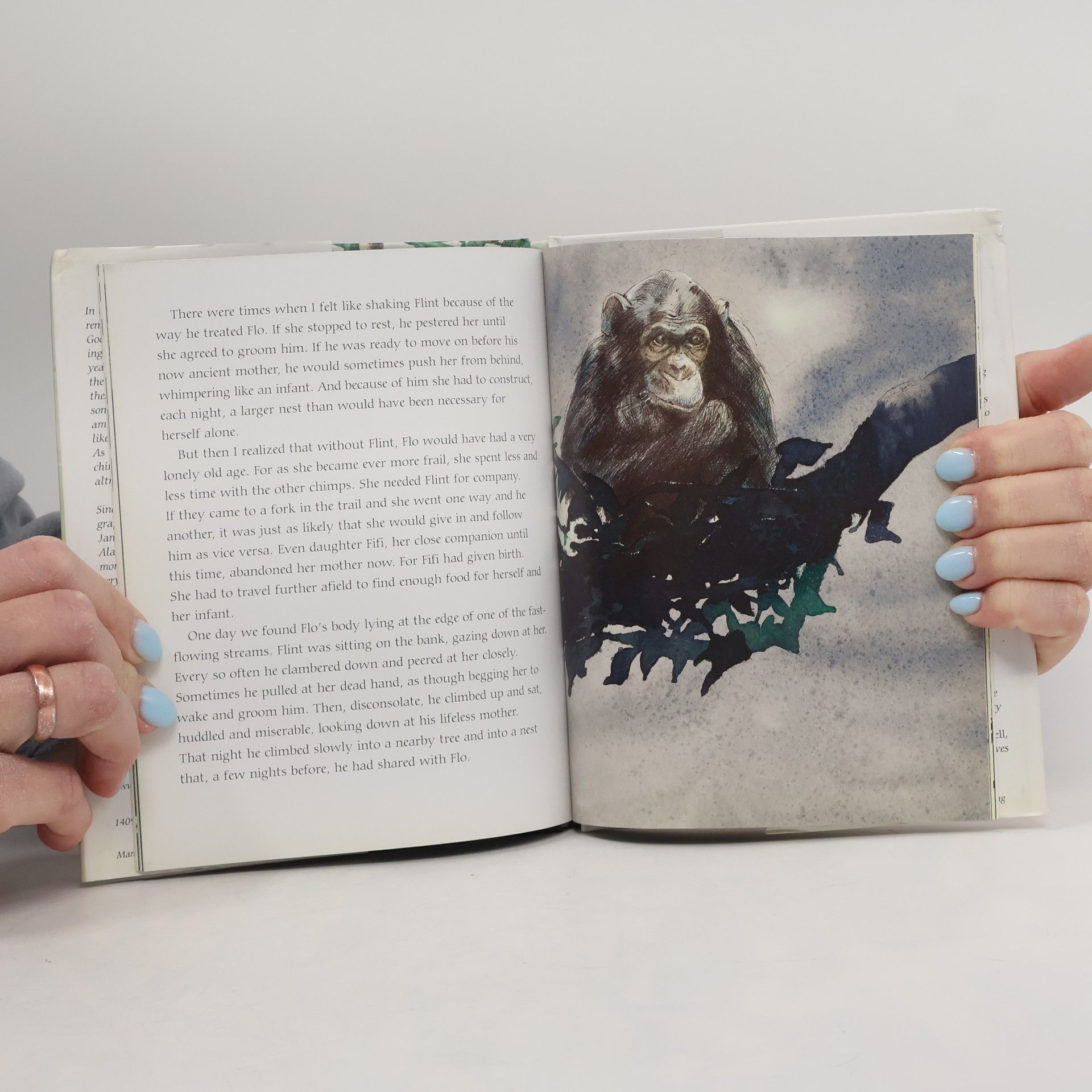 Jane Goodall With Love - Mini-Edition