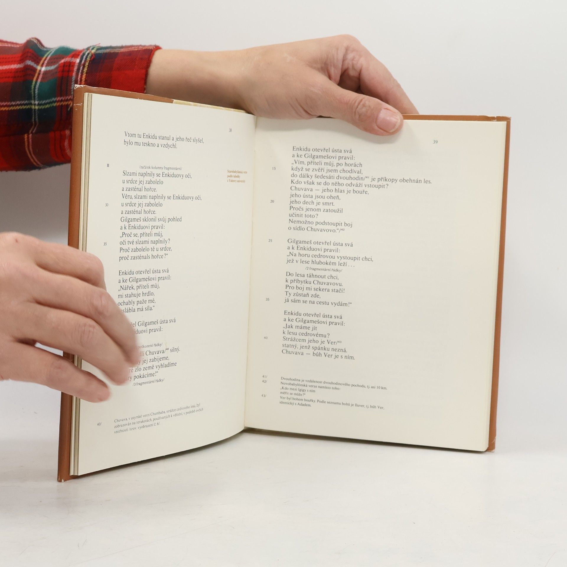 Autores varios Epos o Gilgamešovi