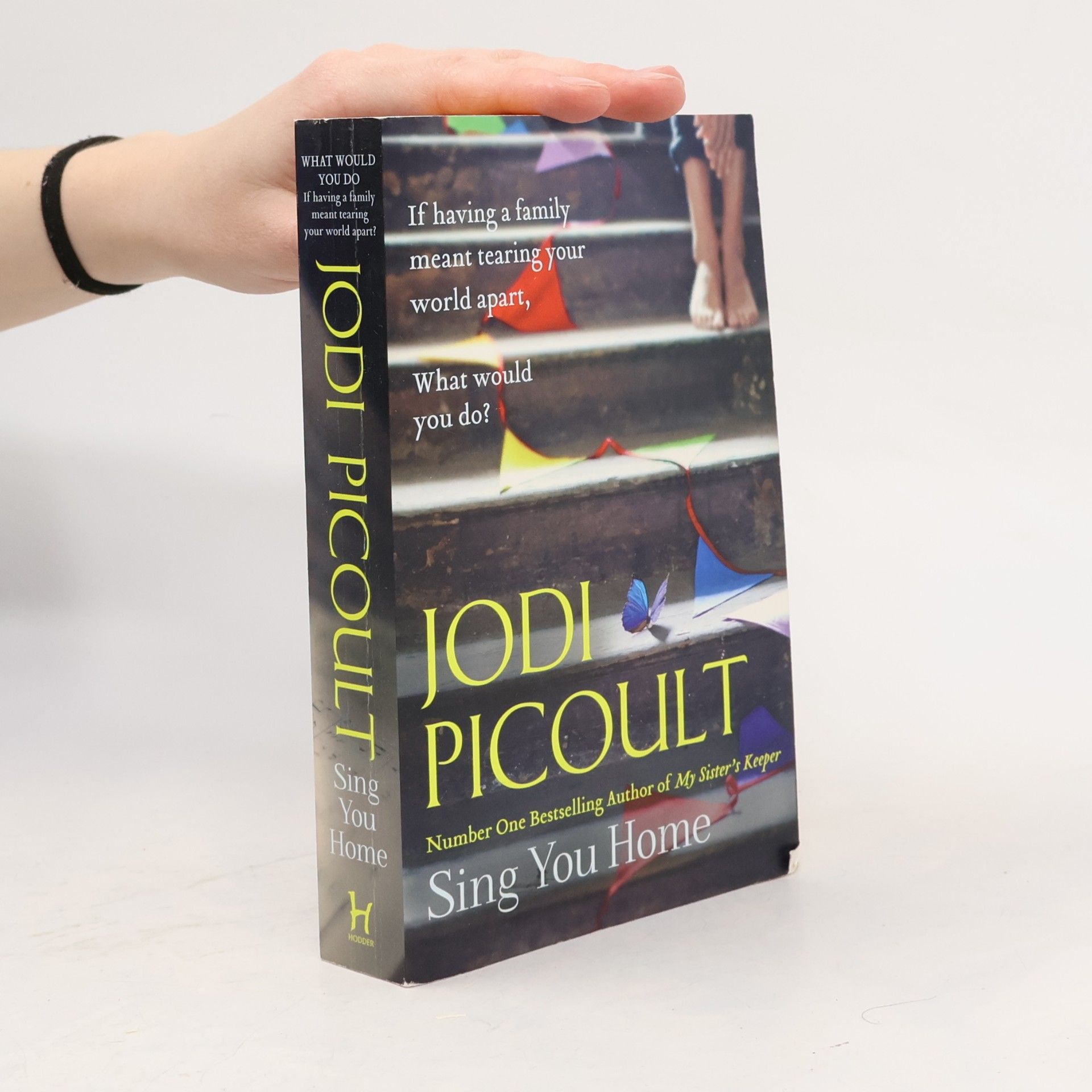 Jodi Picoult Sing You Home