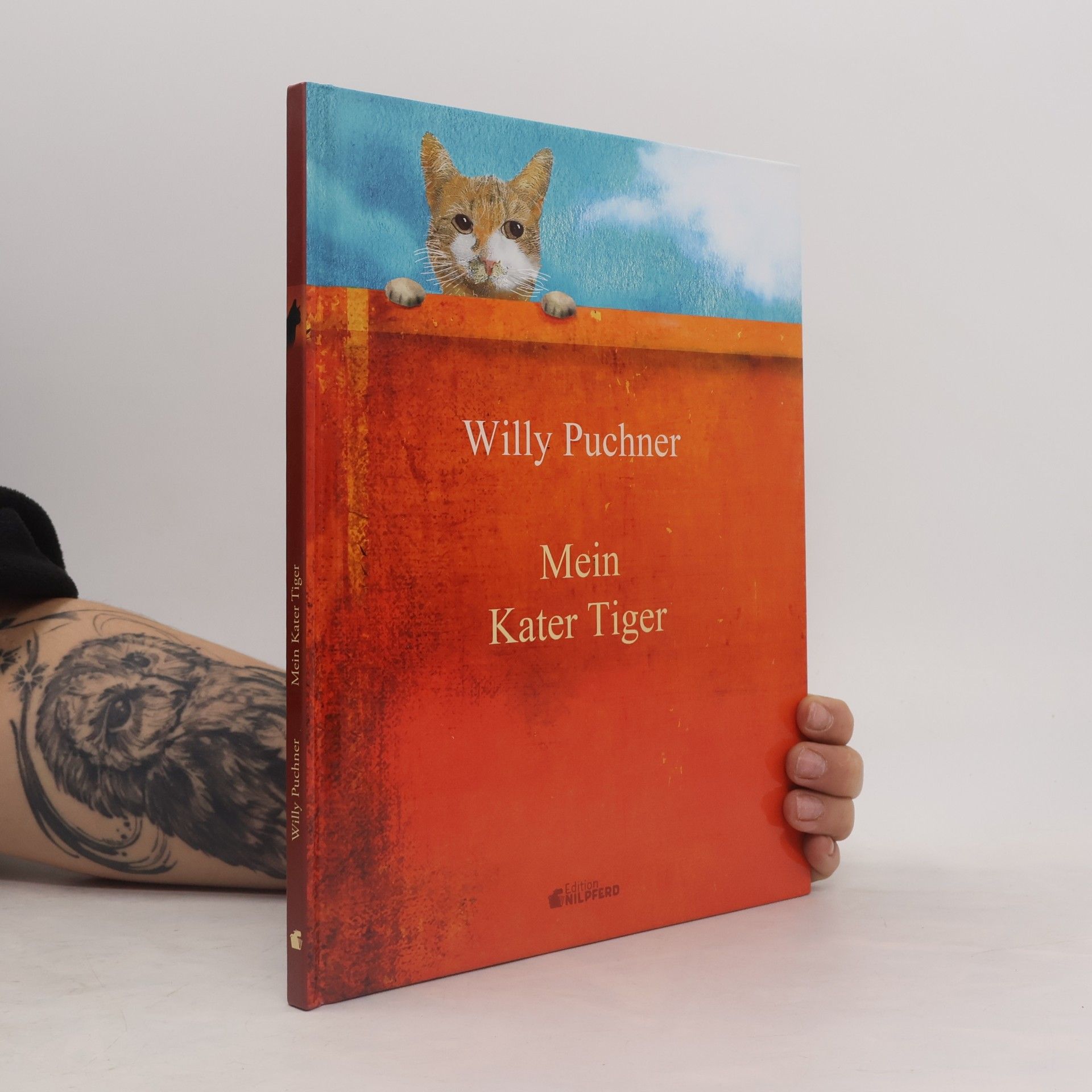 Mein Kater Tiger
