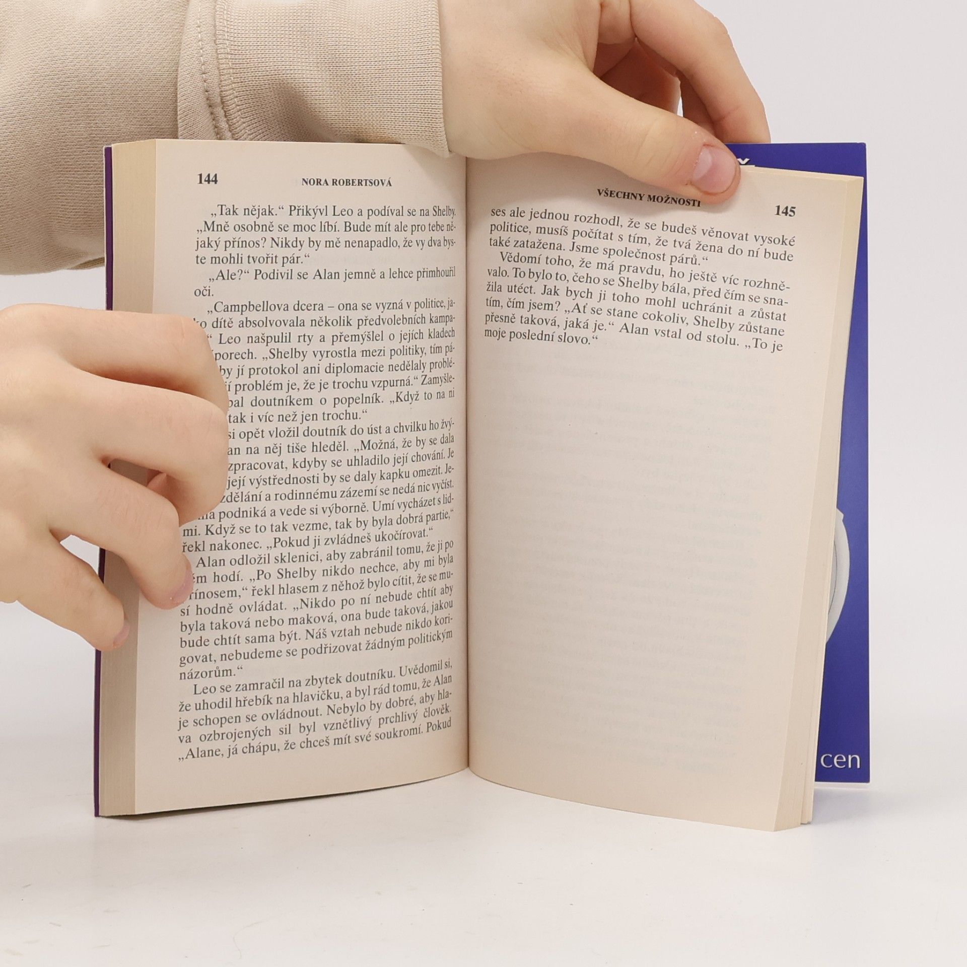 Nora Roberts Všechny možnosti