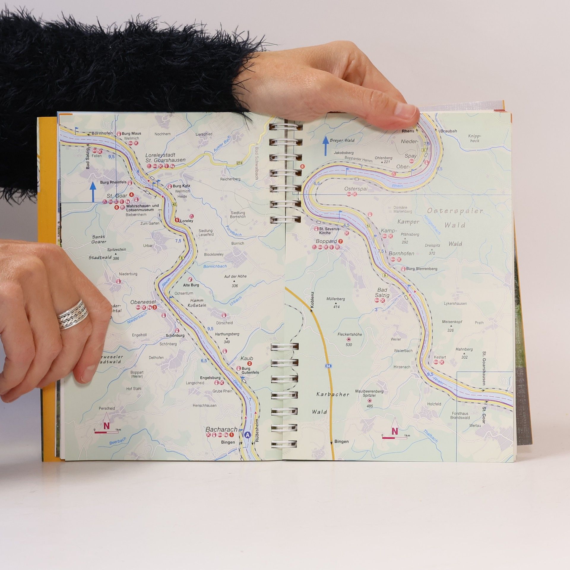 Karsten-Thilo Raab Rhein-Radweg