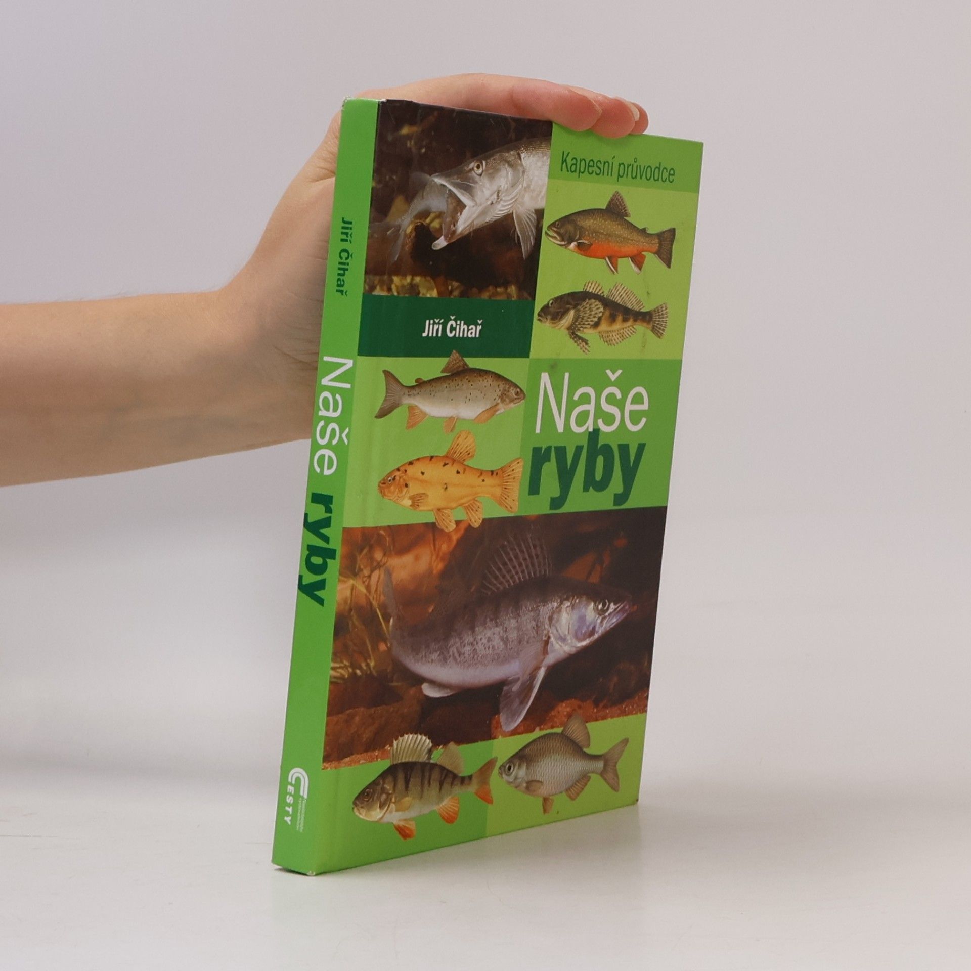 Naše ryby : kapesní průvodce