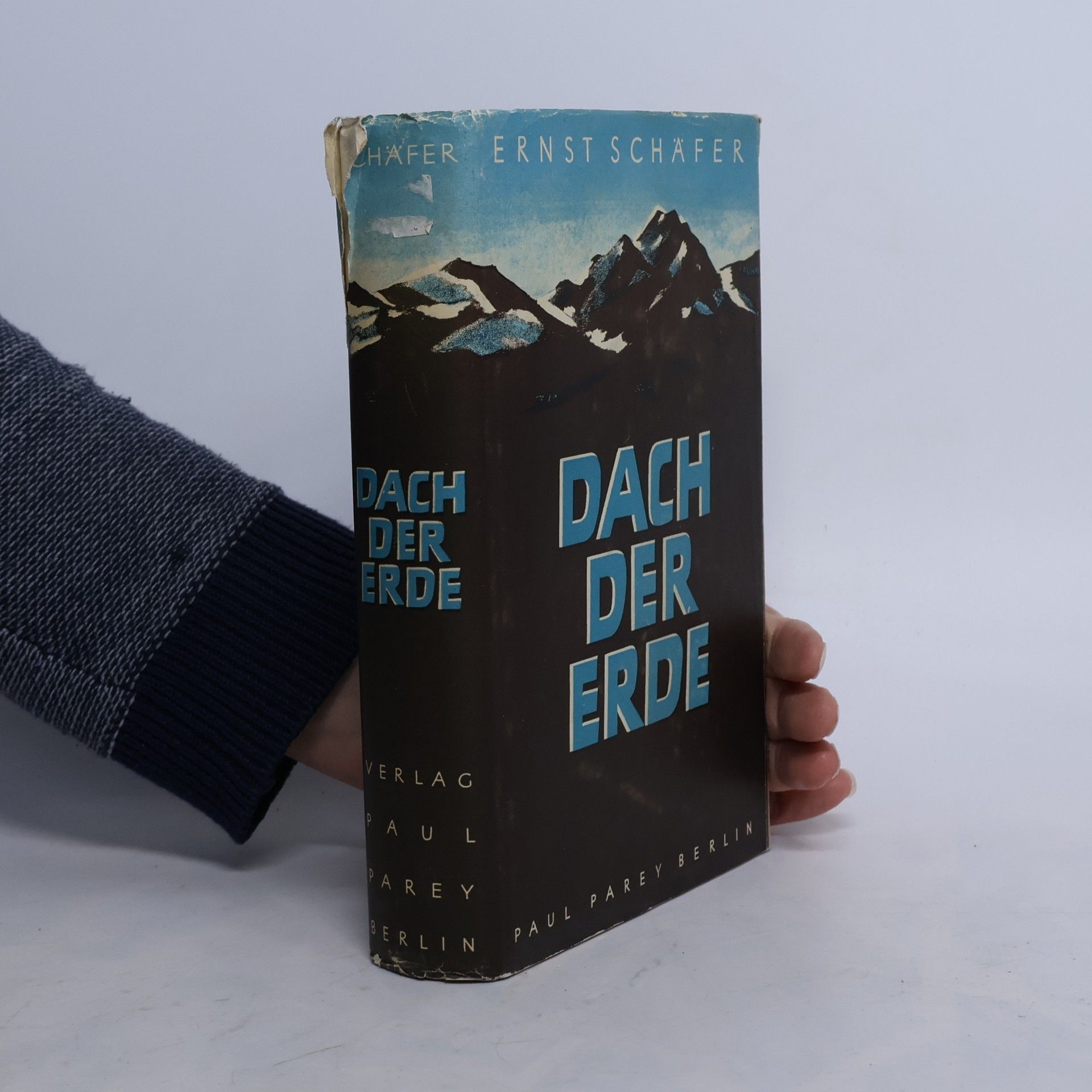 Dach der Erde