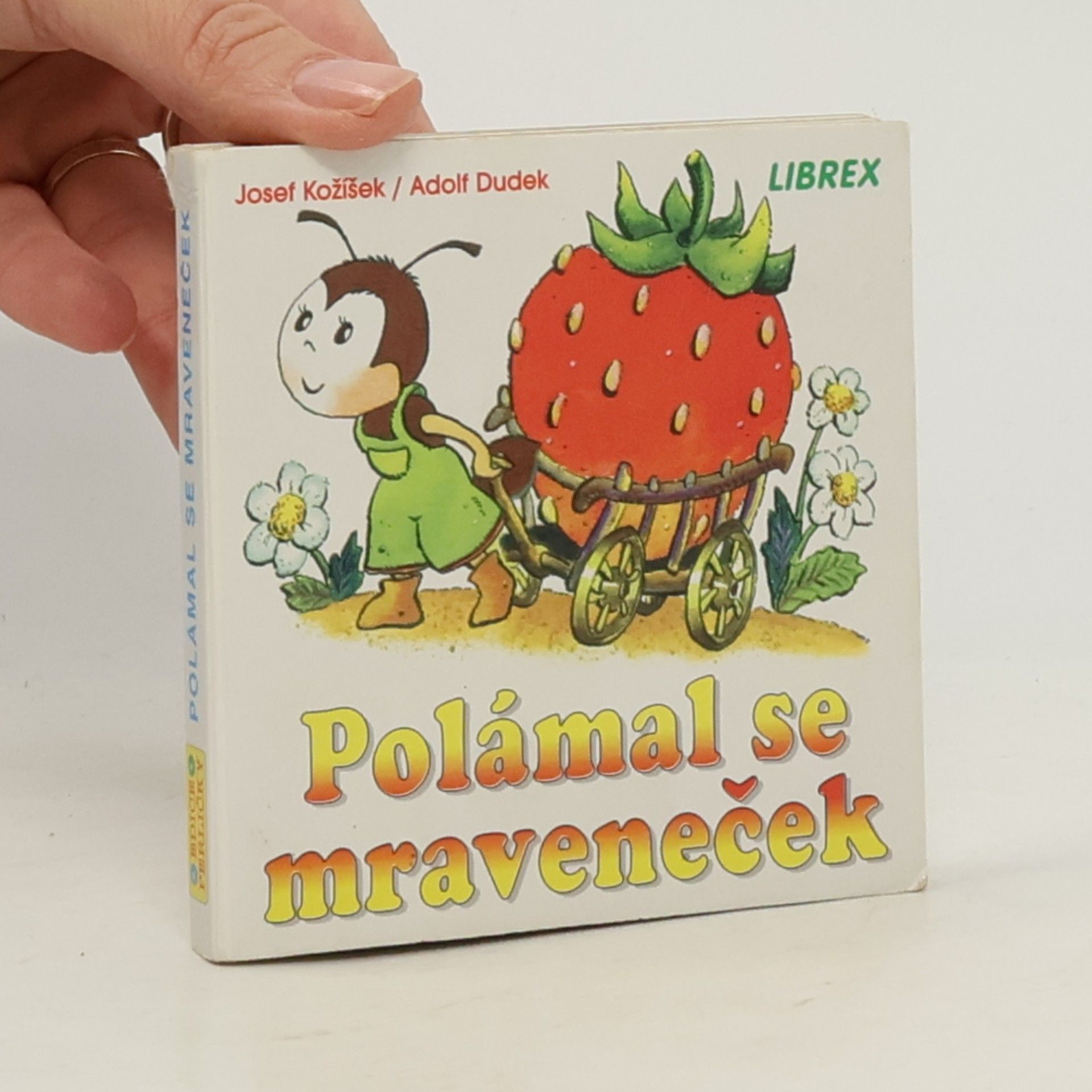 Polámal se mraveneček
