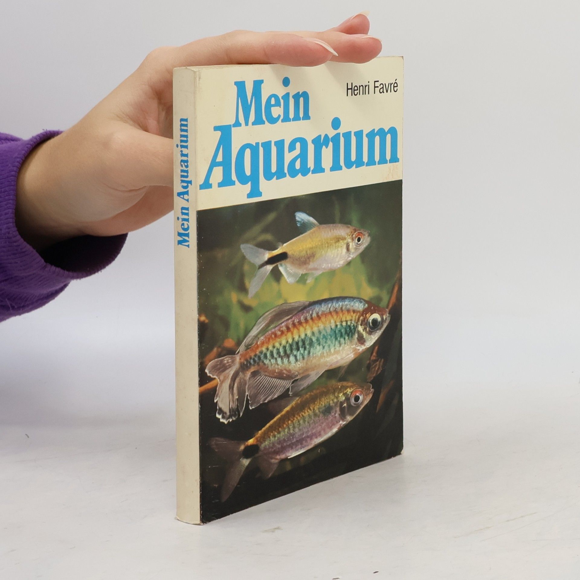 Mein Aquarium