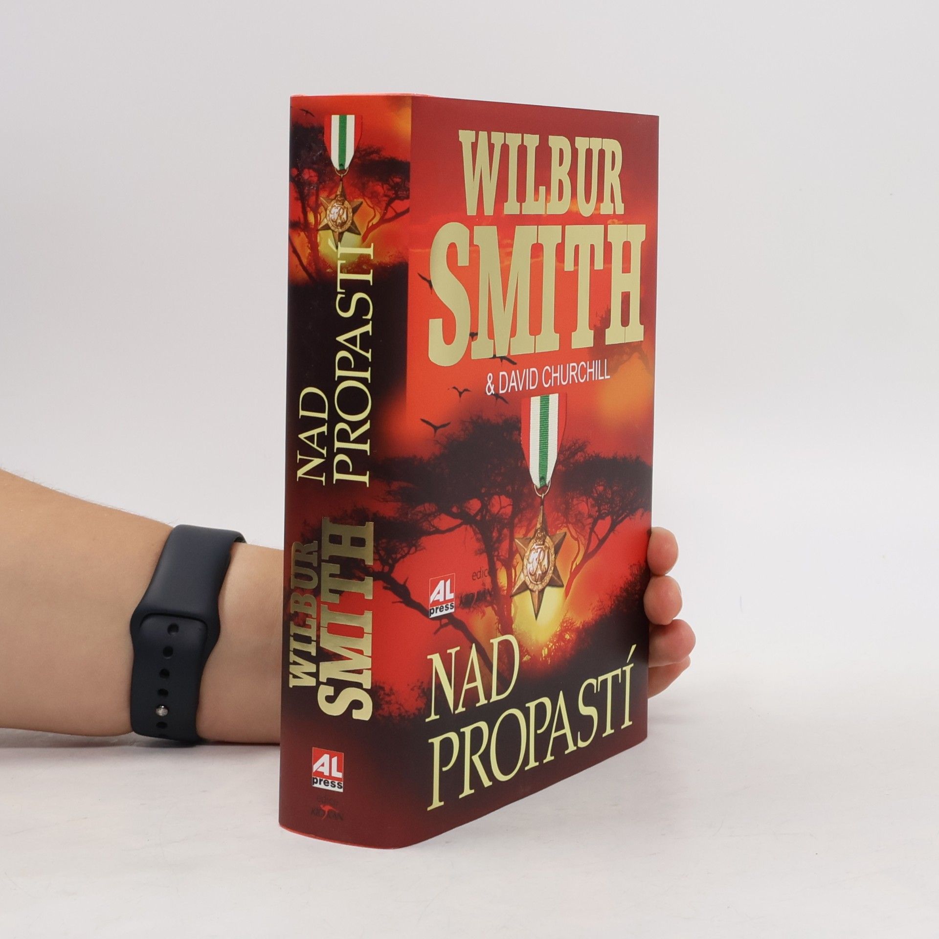 Wilbur Smith Nad propastí