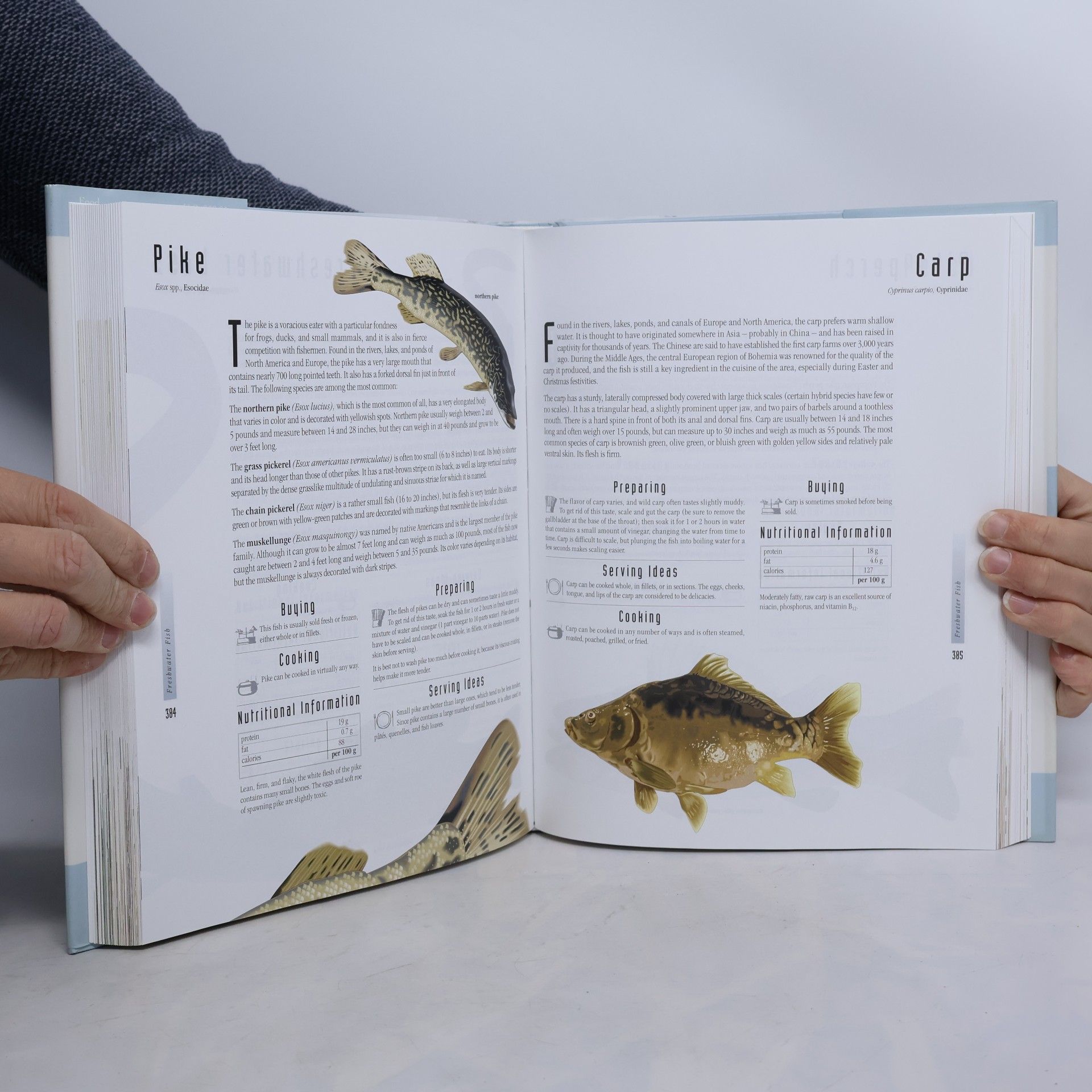 François Fortin The Visual Food Encyclopedia
