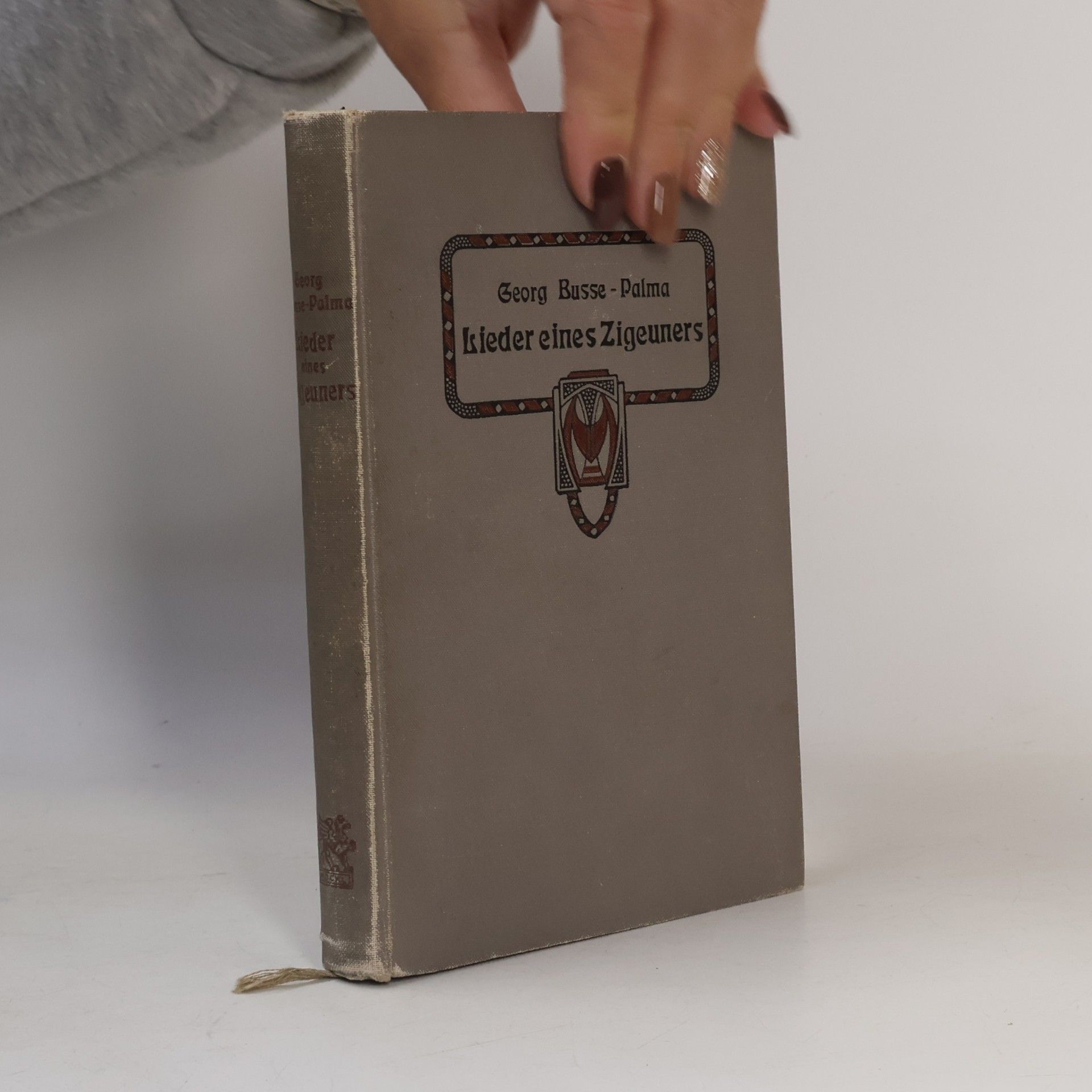 Lieder eines Zigeuners