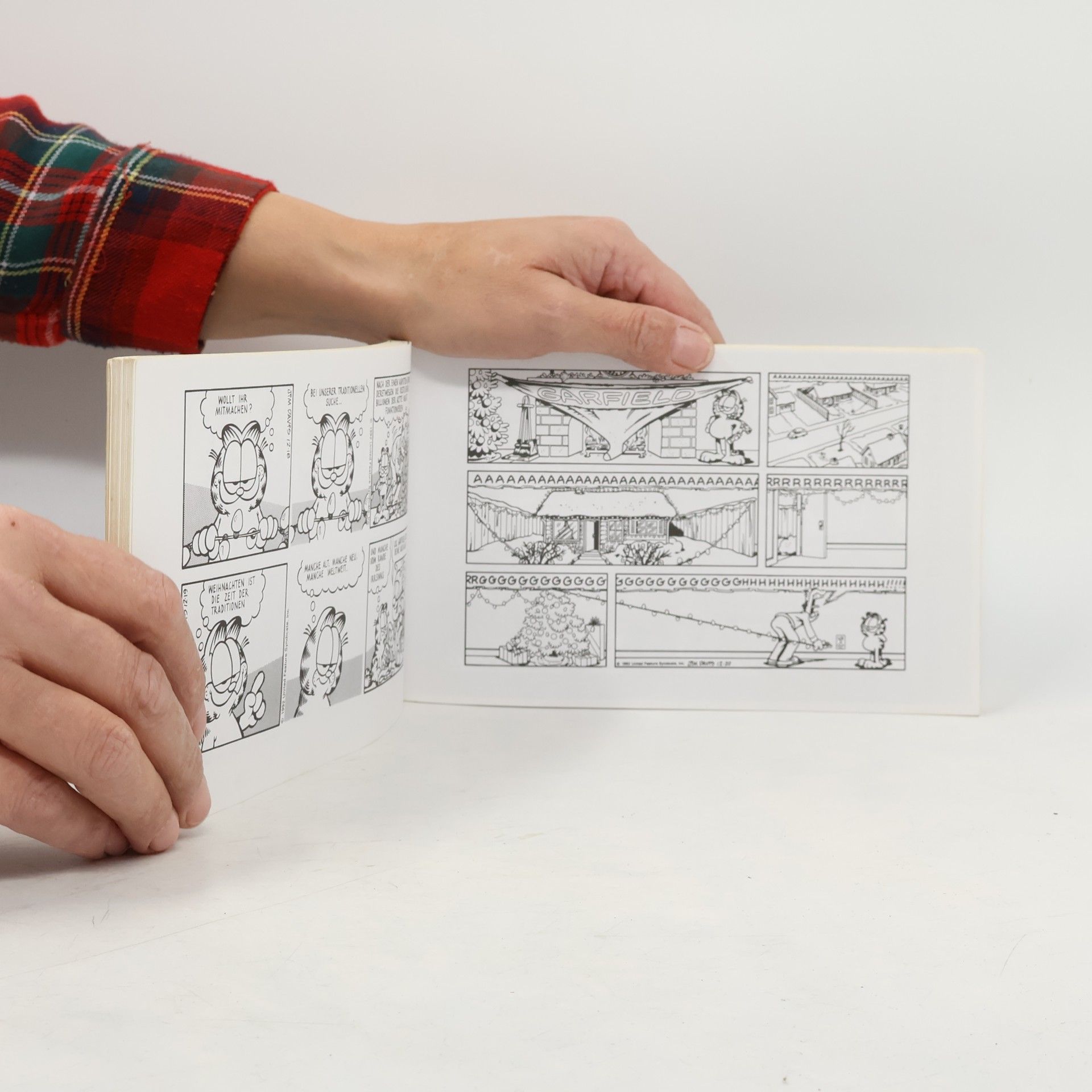 Jim Davis Garfield - 25: Garfield legt's drauf an