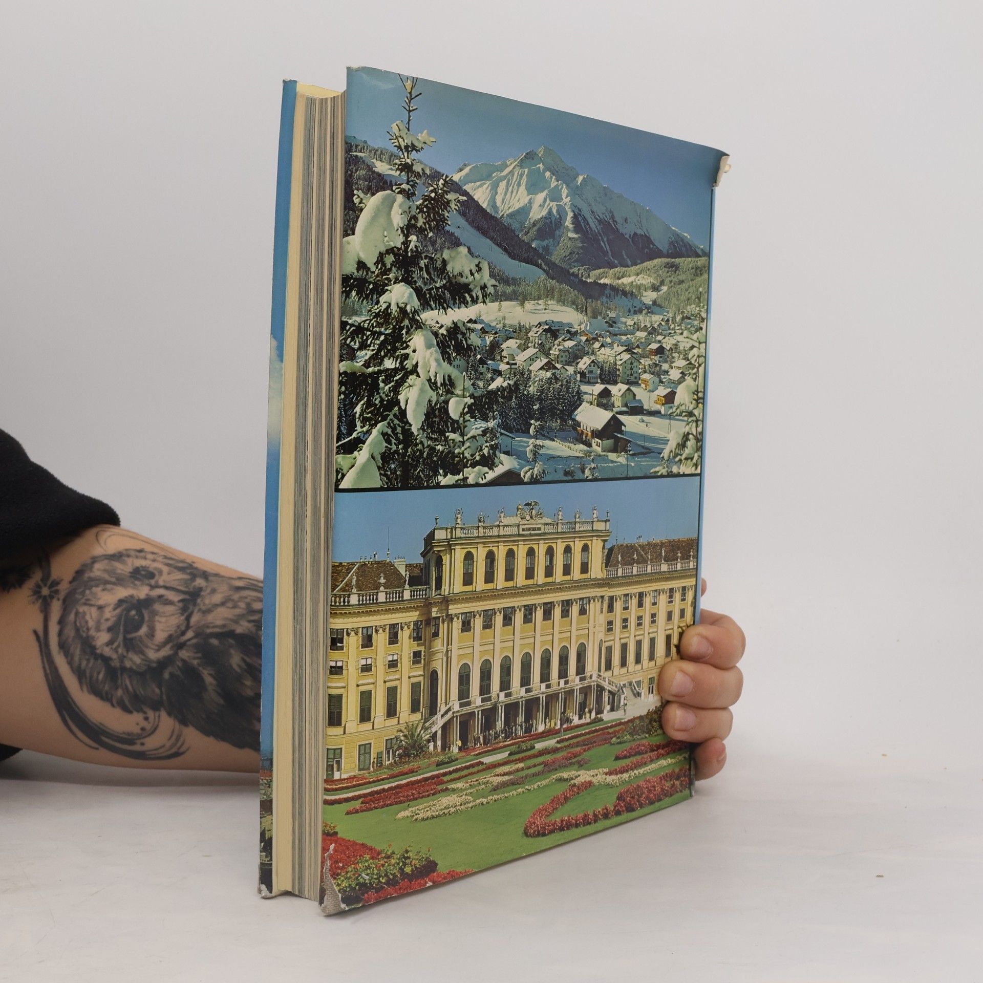 Autores varios Österreich. Das Land in dem wir leben