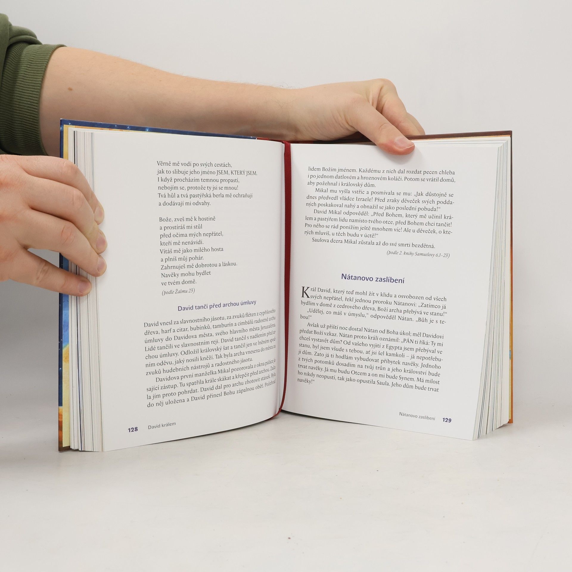 Lene Mayer-Skumanz Velká dětská Bible