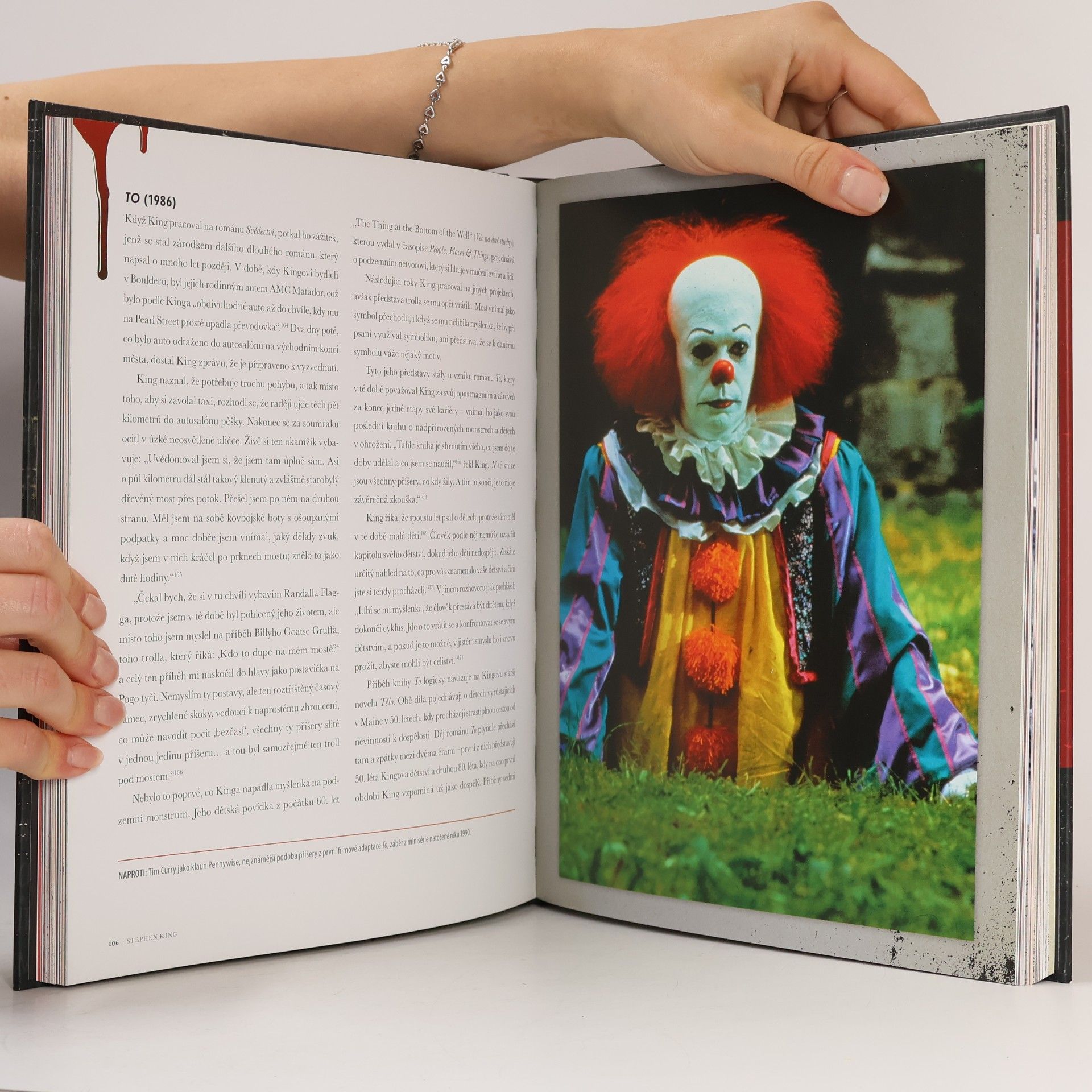 Bev Vincent Stephen King: kompletní průvodce životem a dílem