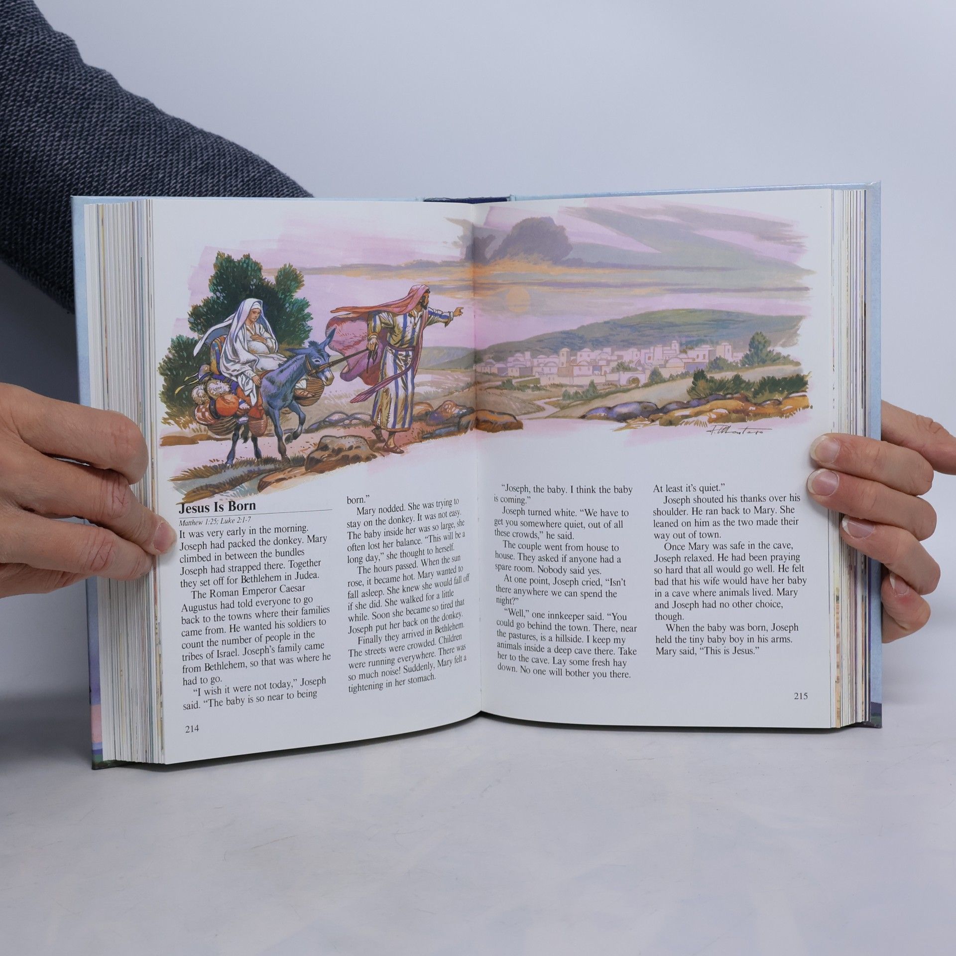 Anne de Graaf The Children's Bible Story Book