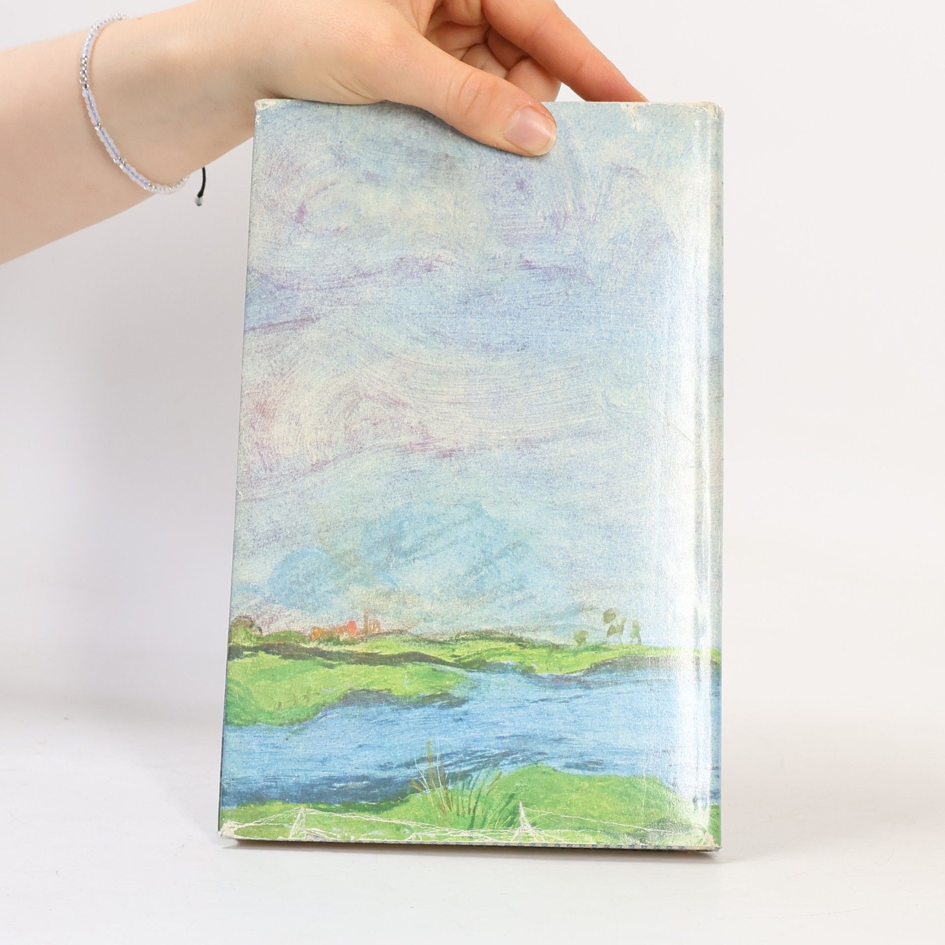 Christa Borchert Landschaft mit Regenbogen