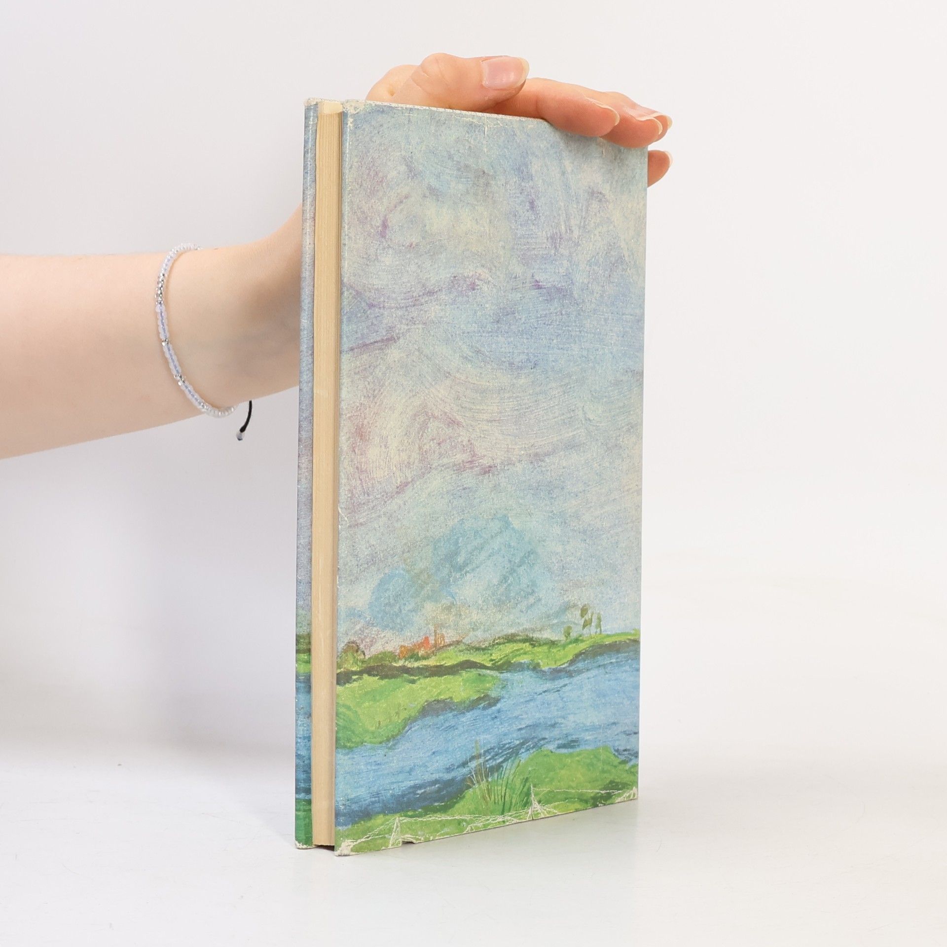 Christa Borchert Landschaft mit Regenbogen