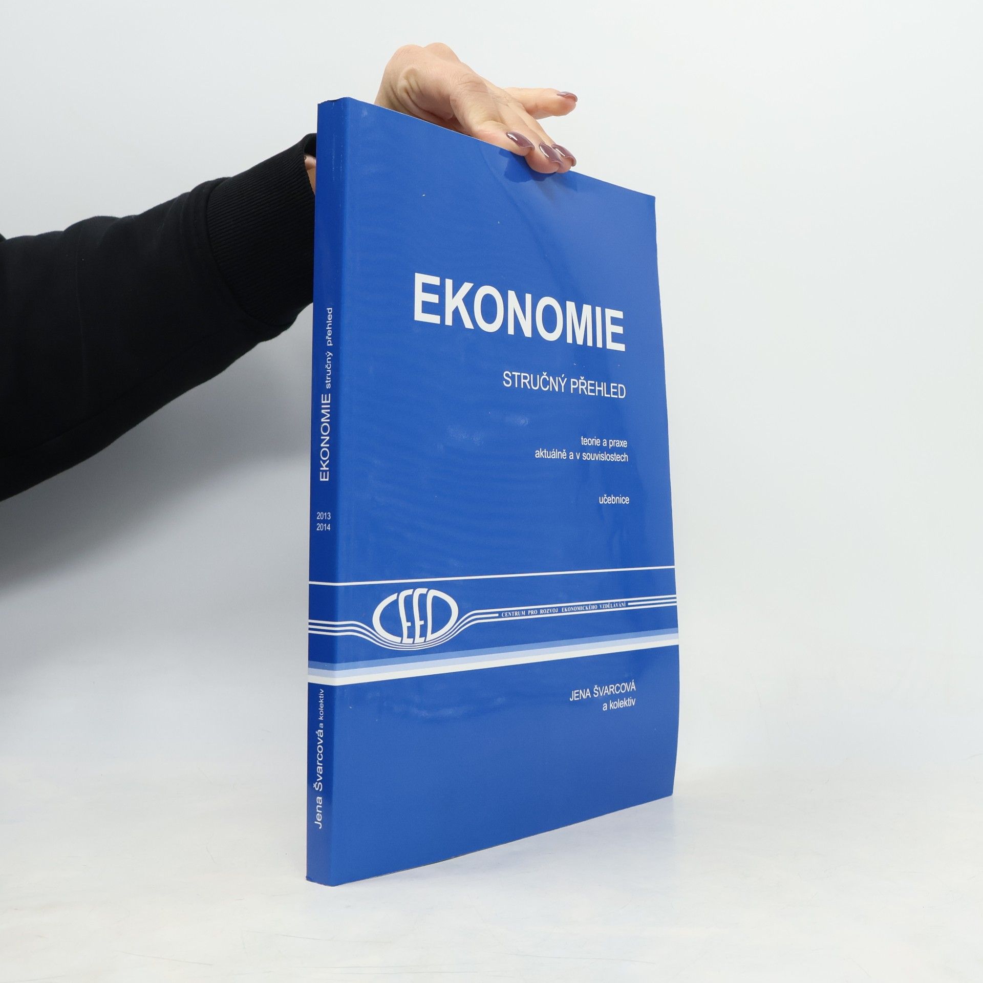 Ekonomie: Stručný přehled: Teorie a praxe aktuálně a v souvislostech