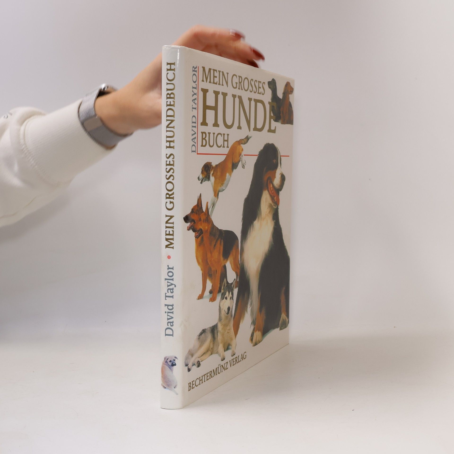 Mein grosses Hunde-Buch