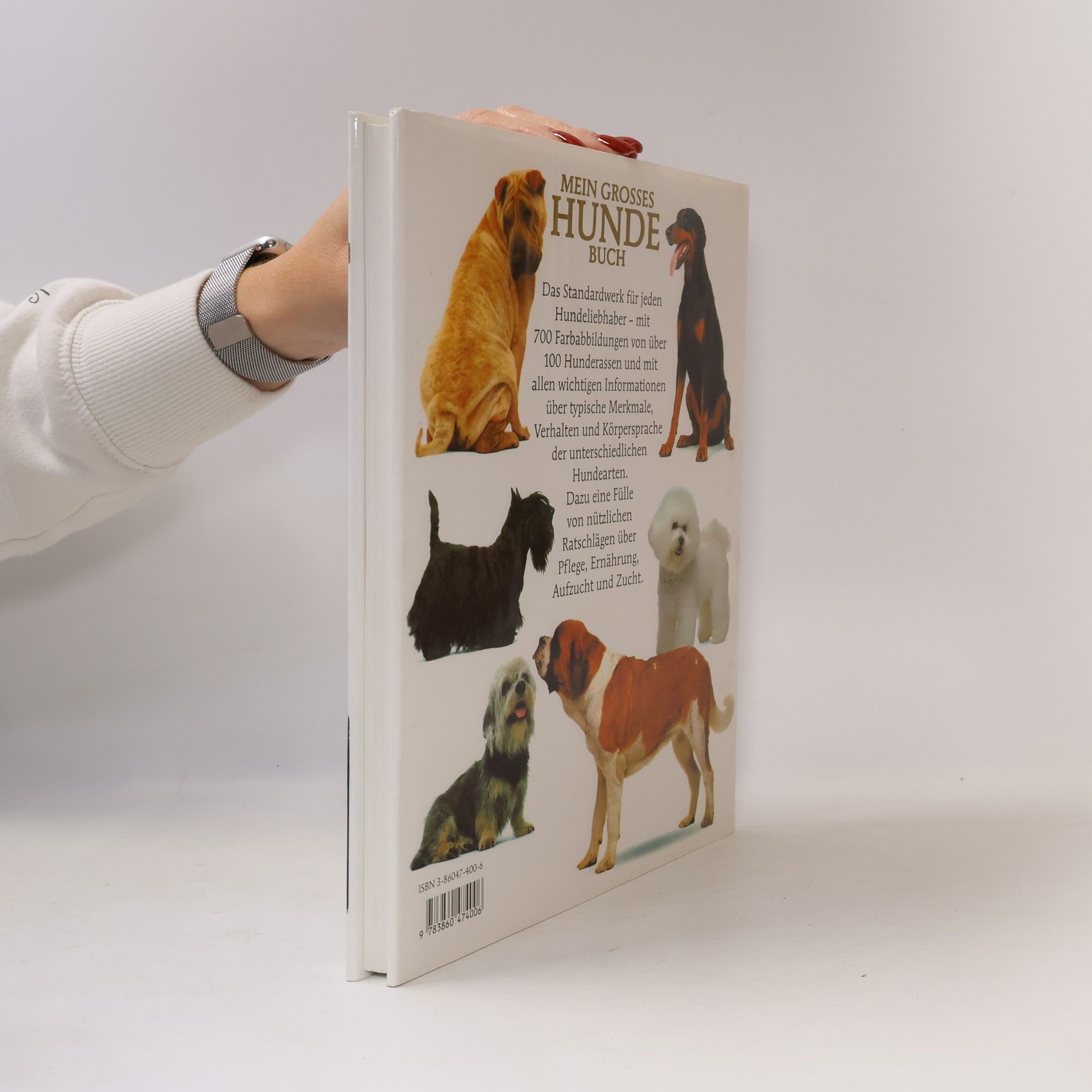 David Conrad Taylor Mein grosses Hunde-Buch