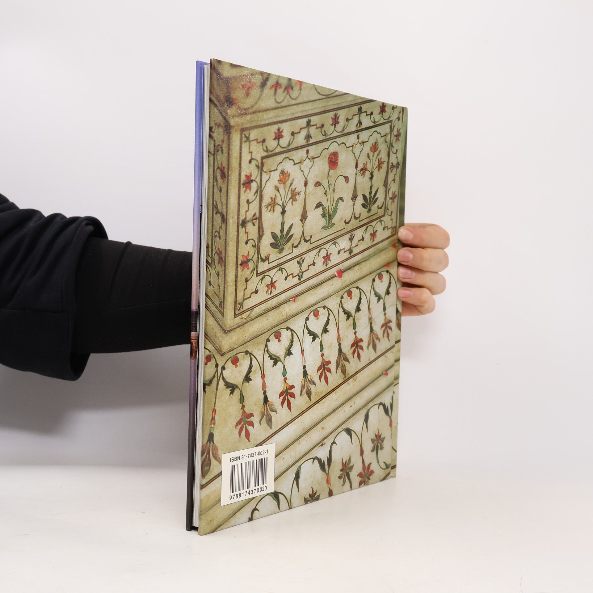 John Lall Taj Mahal. Die Saga der Grossmoguln
