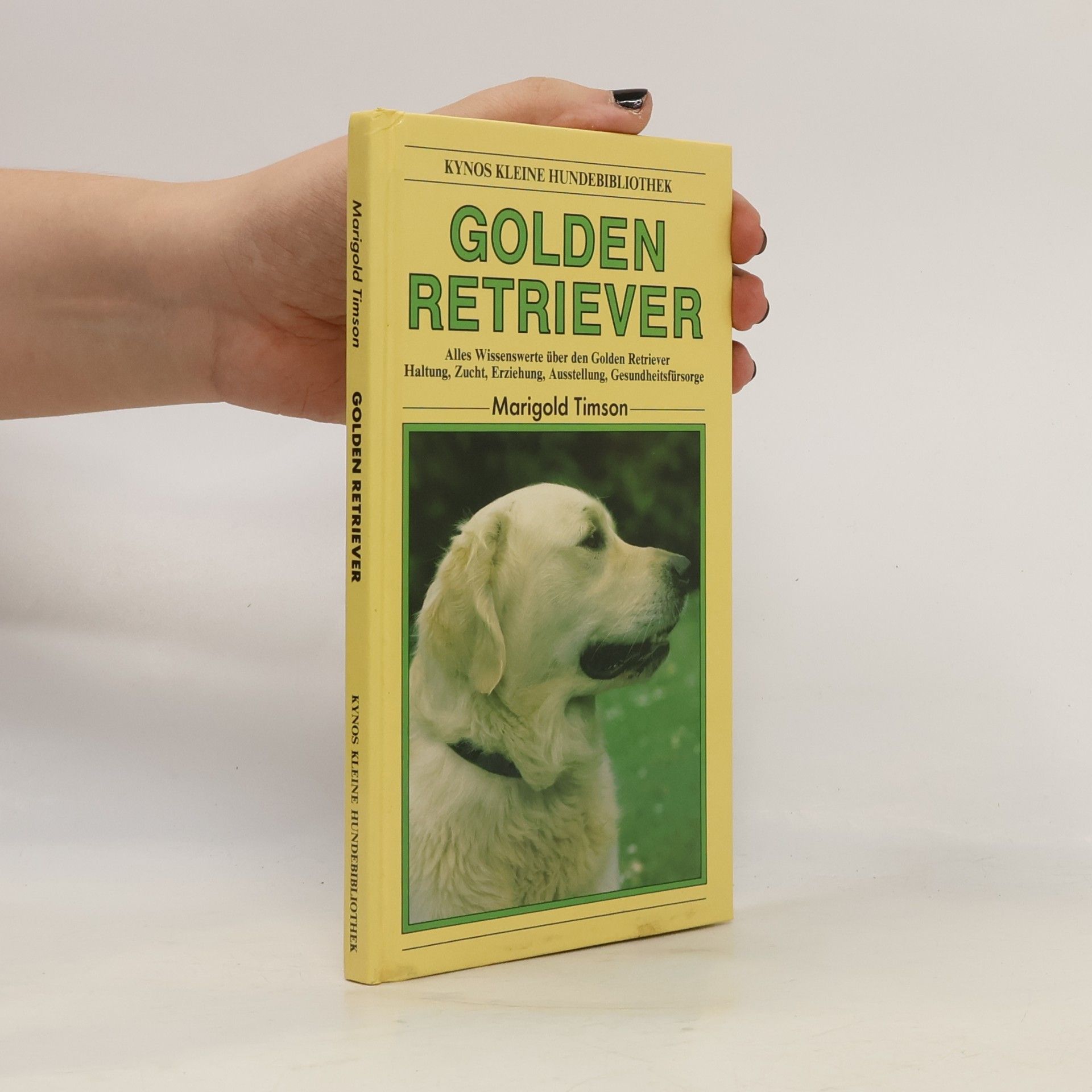 Golden Retriever