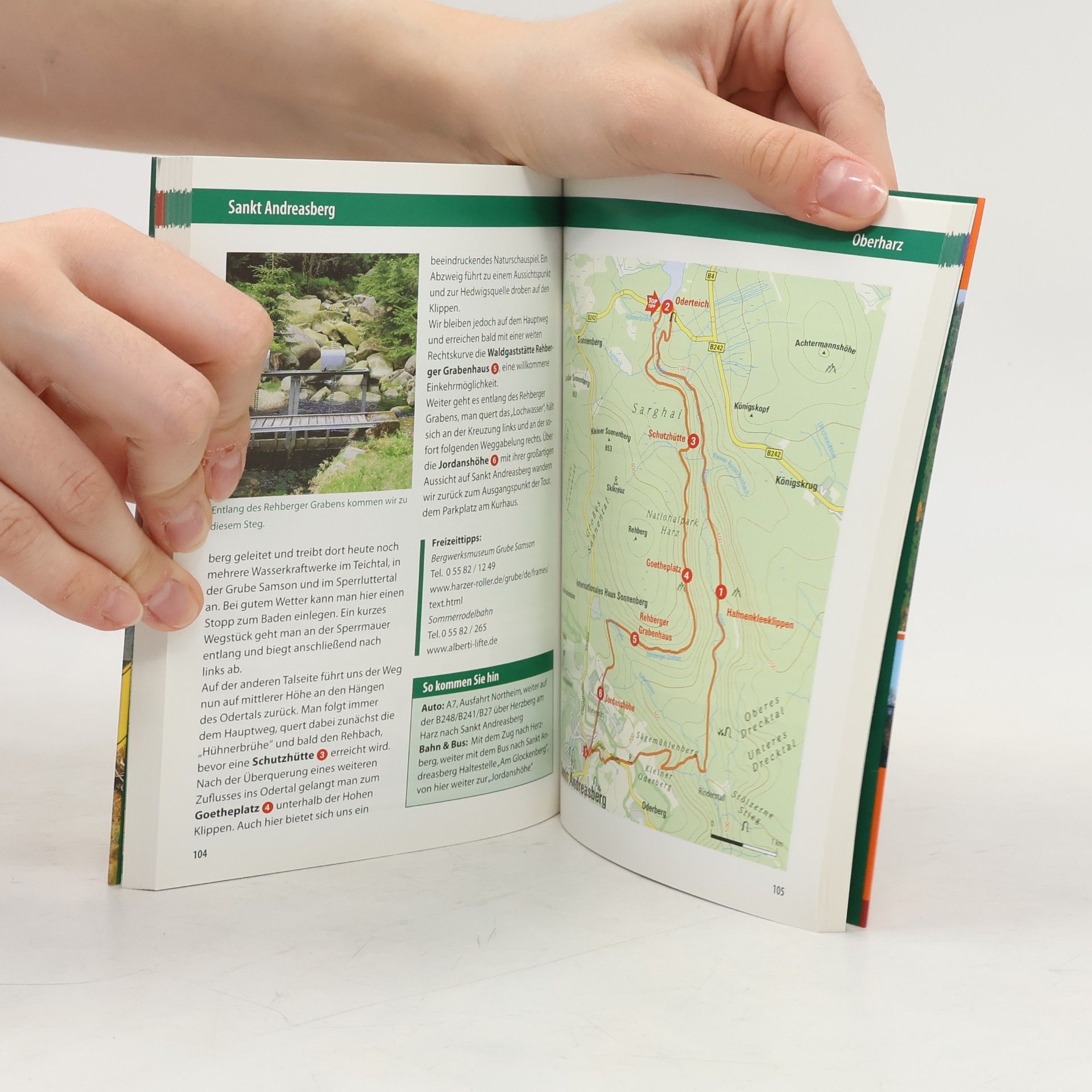 Karin Lorenzato Harz