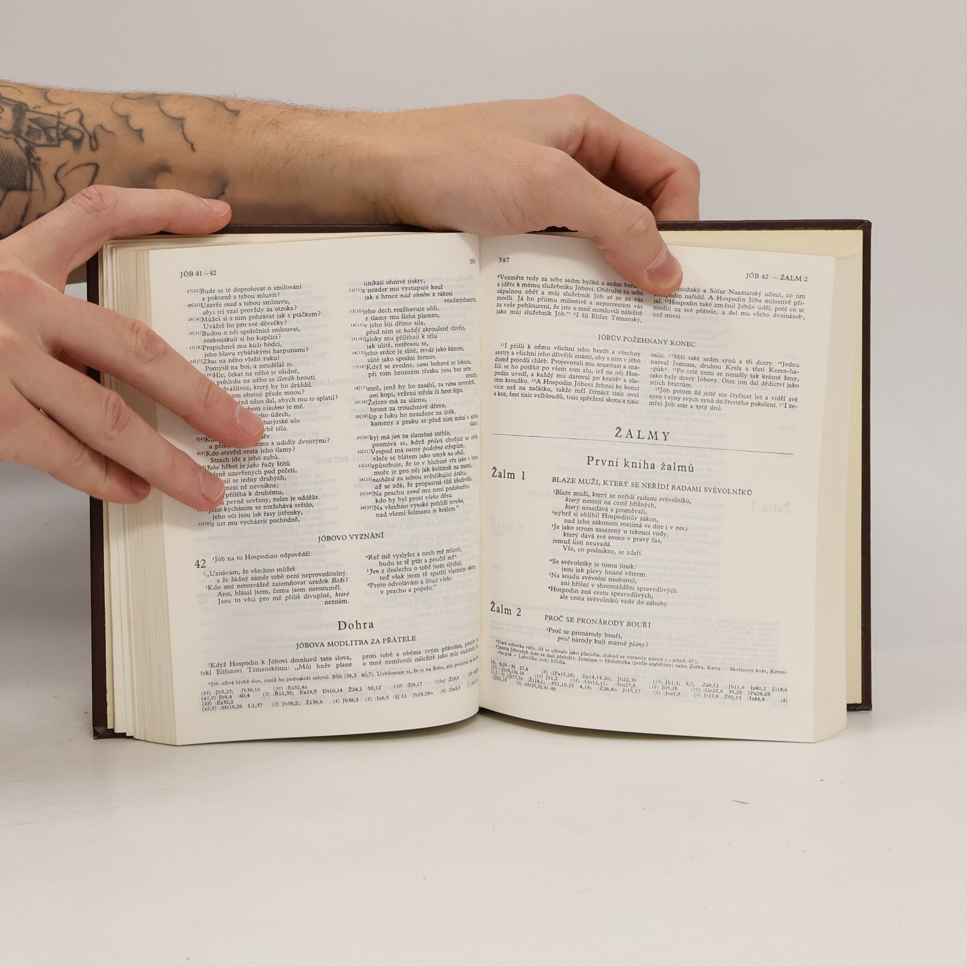 Various authors Bible