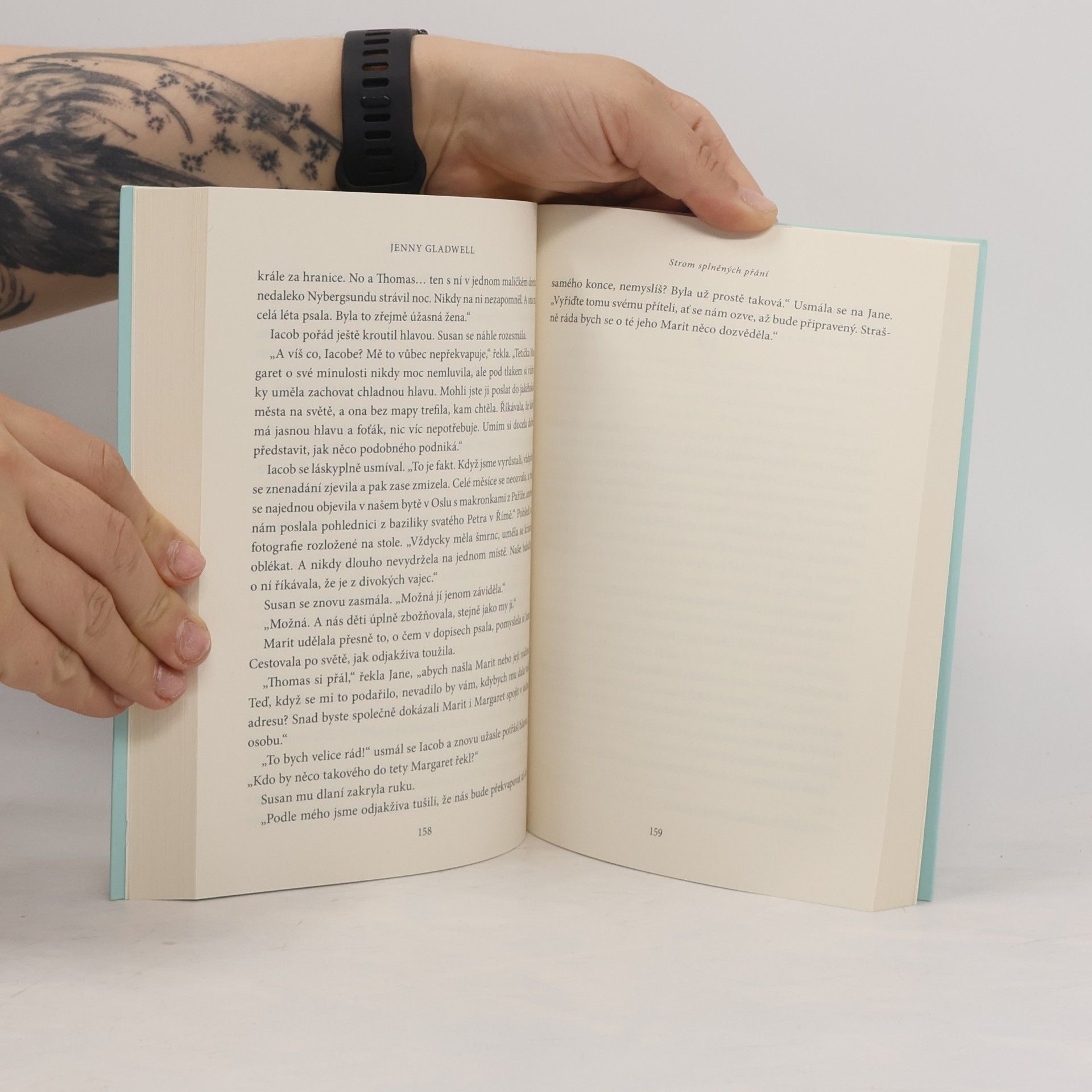 Jenny Gladwell Strom splněných přání