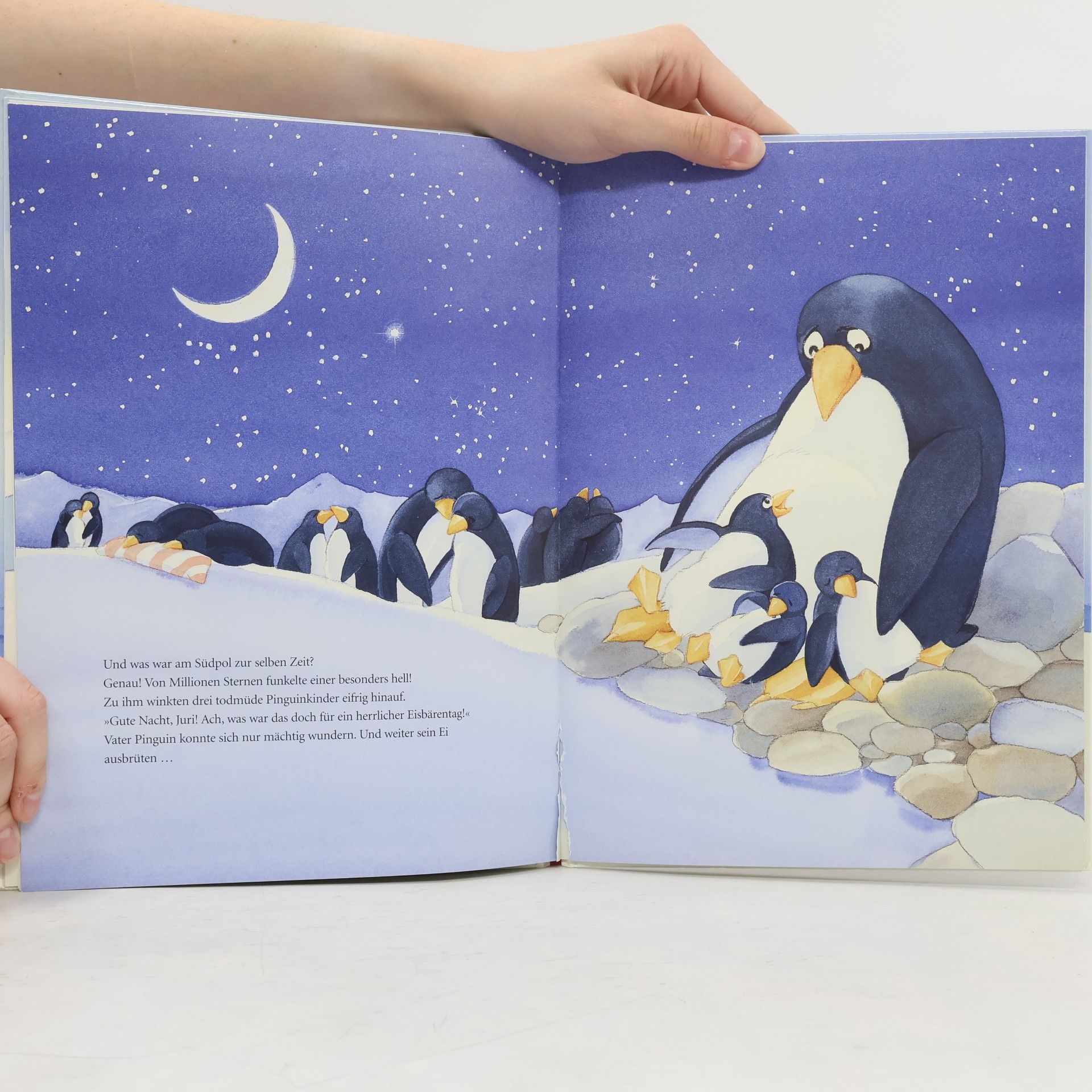 Susa Hämmerle Juri und die Pinguine