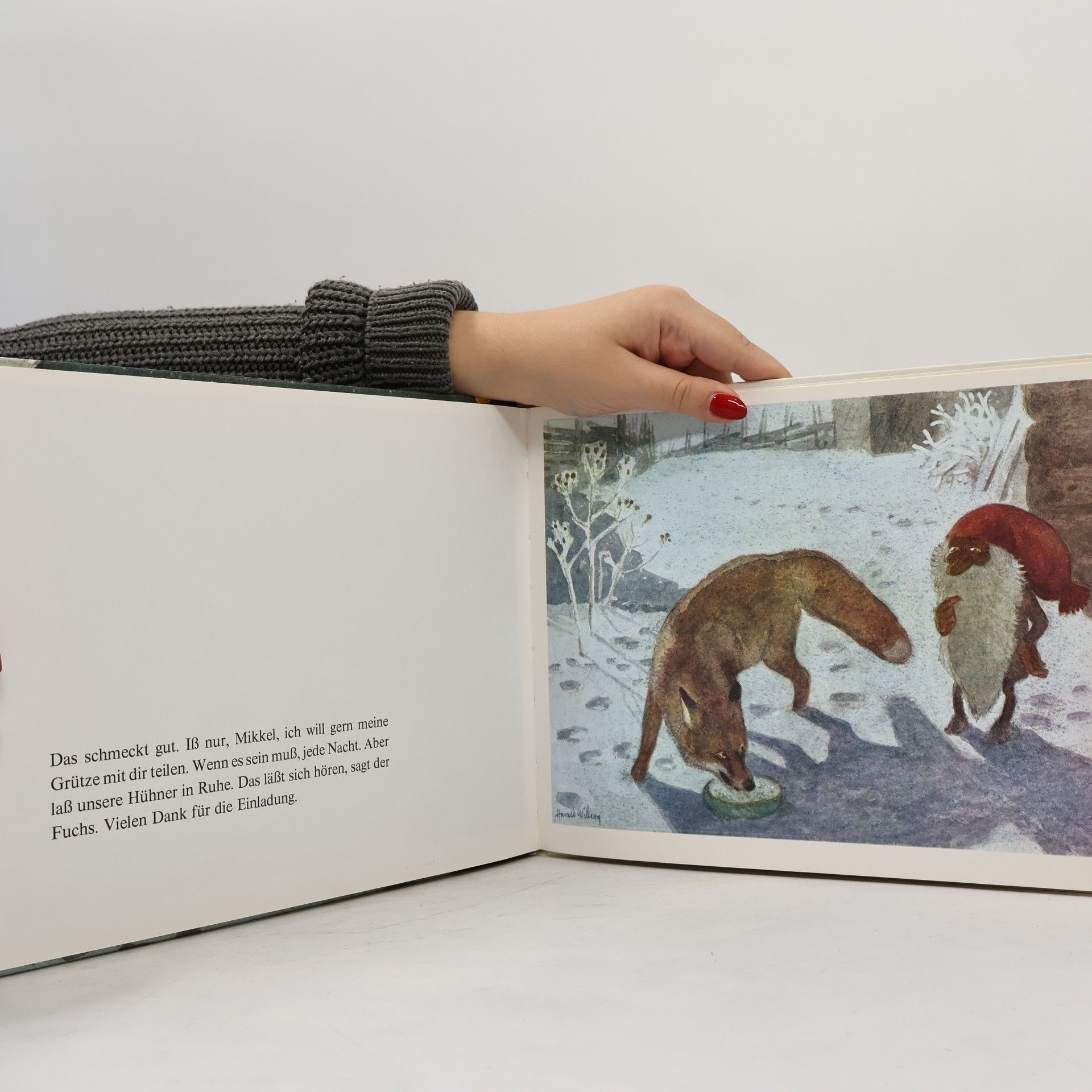 Astrid Lindgren Tomte und der Fuchs