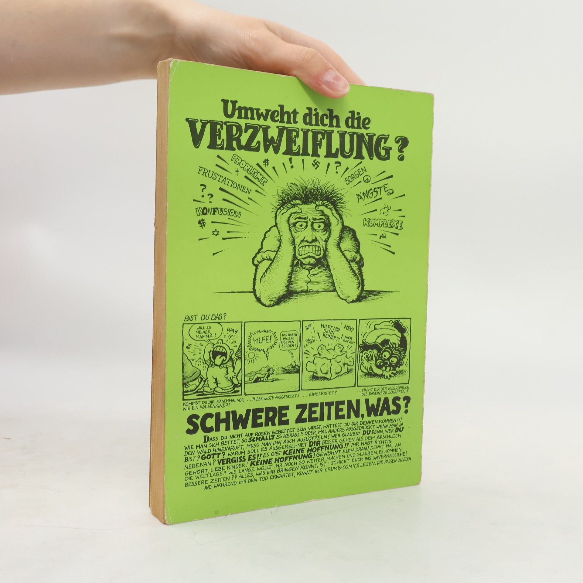 Robert R Crumb Die 17 Gesichter des Robert Crumb