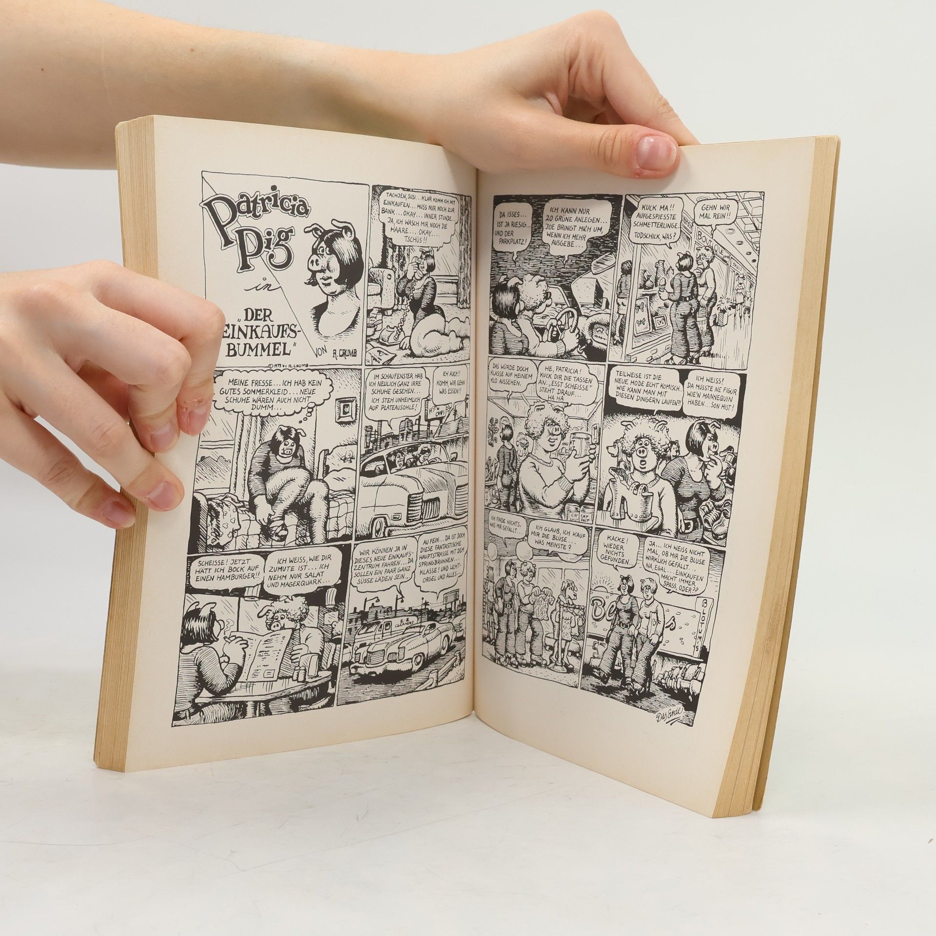 Robert R Crumb Die 17 Gesichter des Robert Crumb